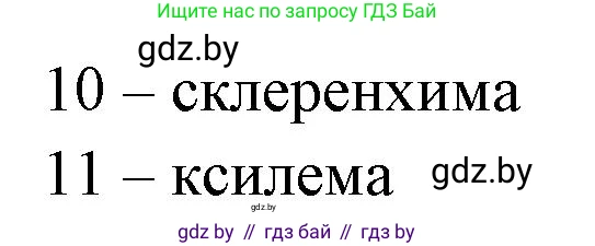 Биология, 10 класс Тетрадь для лабораторных и практических работ, автор: Хруцкая Тамара Викторовна, издательство Аверсэв, Минск, 2020, зелёного цвета, страница 16, номер 5, Решение (продолжение 2)