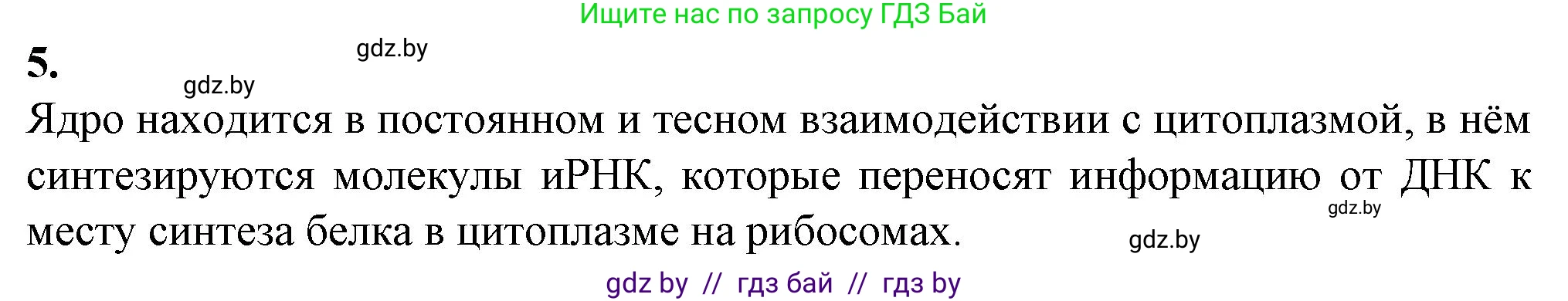 Биология, 11 класс рабочая тетрадь, авторы: Дашков Максим Леонидович, Головач Алексей Михайлович, издательство Аверсэв, Минск, 2021, жёлтого цвета, страница 33, номер 5, Решение