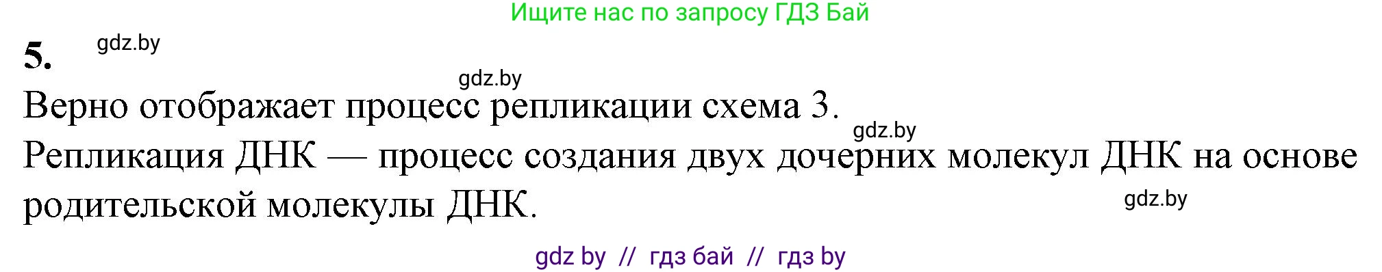 Биология, 11 класс рабочая тетрадь, авторы: Дашков Максим Леонидович, Головач Алексей Михайлович, издательство Аверсэв, Минск, 2021, жёлтого цвета, страница 38, номер 5, Решение