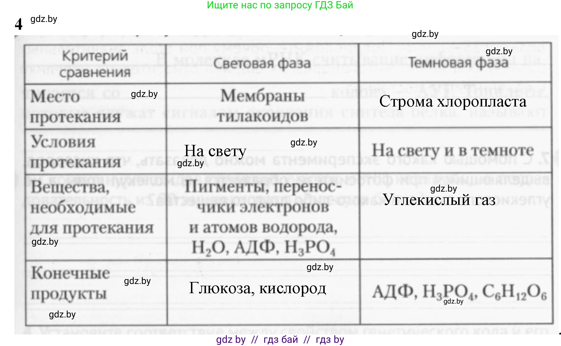 Биология, 11 класс рабочая тетрадь, авторы: Дашков Максим Леонидович, Головач Алексей Михайлович, издательство Аверсэв, Минск, 2021, жёлтого цвета, страница 53, номер 4, Решение