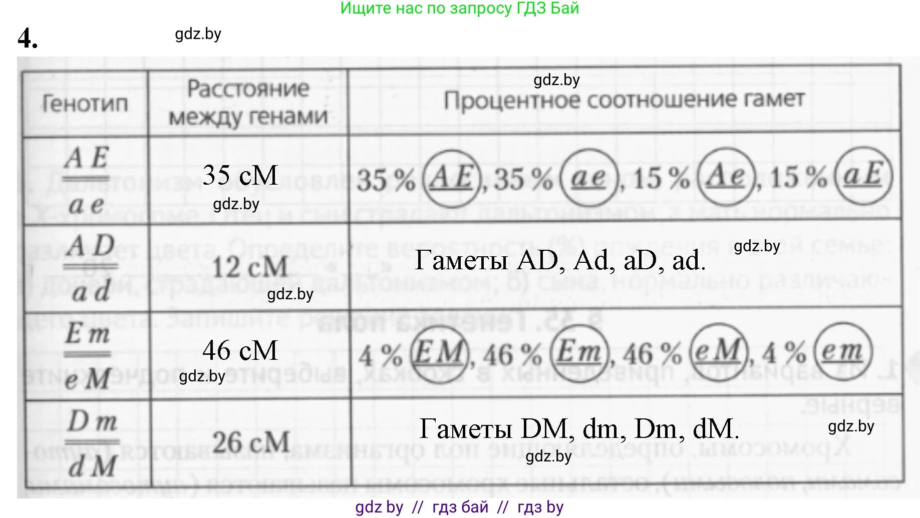 Биология, 11 класс рабочая тетрадь, авторы: Дашков Максим Леонидович, Головач Алексей Михайлович, издательство Аверсэв, Минск, 2021, жёлтого цвета, страница 81, номер 4, Решение