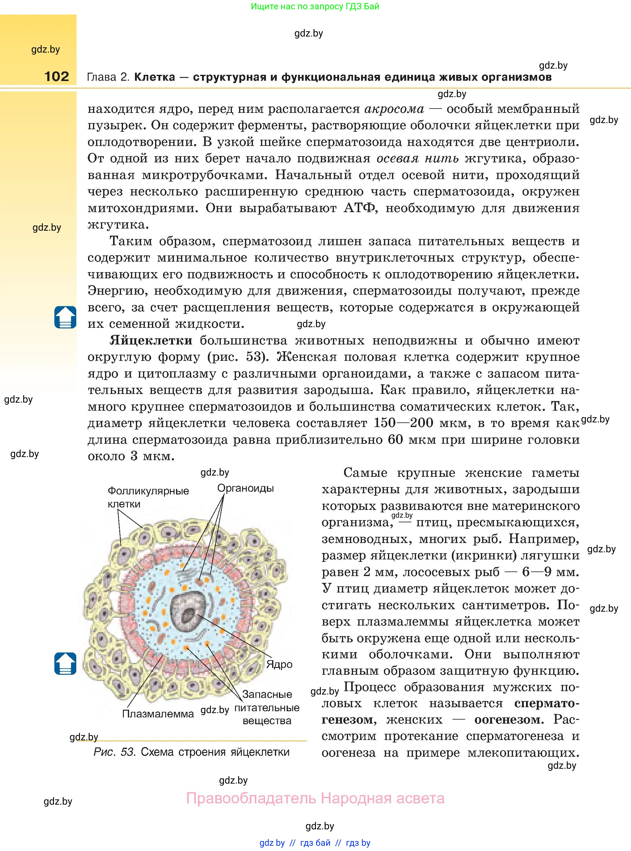 Биология, 11 класс Учебник, авторы: Дашков Максим Леонидович, Песнякевич Александр Георгиевич, Головач Алексей Михайлович, издательство Народная асвета, Минск, 2021, голубого цвета, страница 102