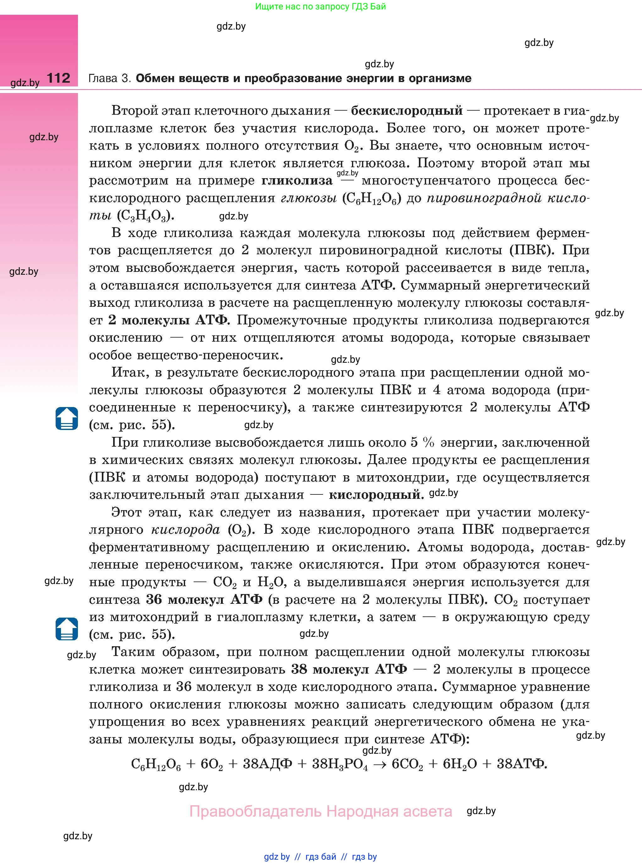 Биология, 11 класс Учебник, авторы: Дашков Максим Леонидович, Песнякевич Александр Георгиевич, Головач Алексей Михайлович, издательство Народная асвета, Минск, 2021, голубого цвета, страница 112