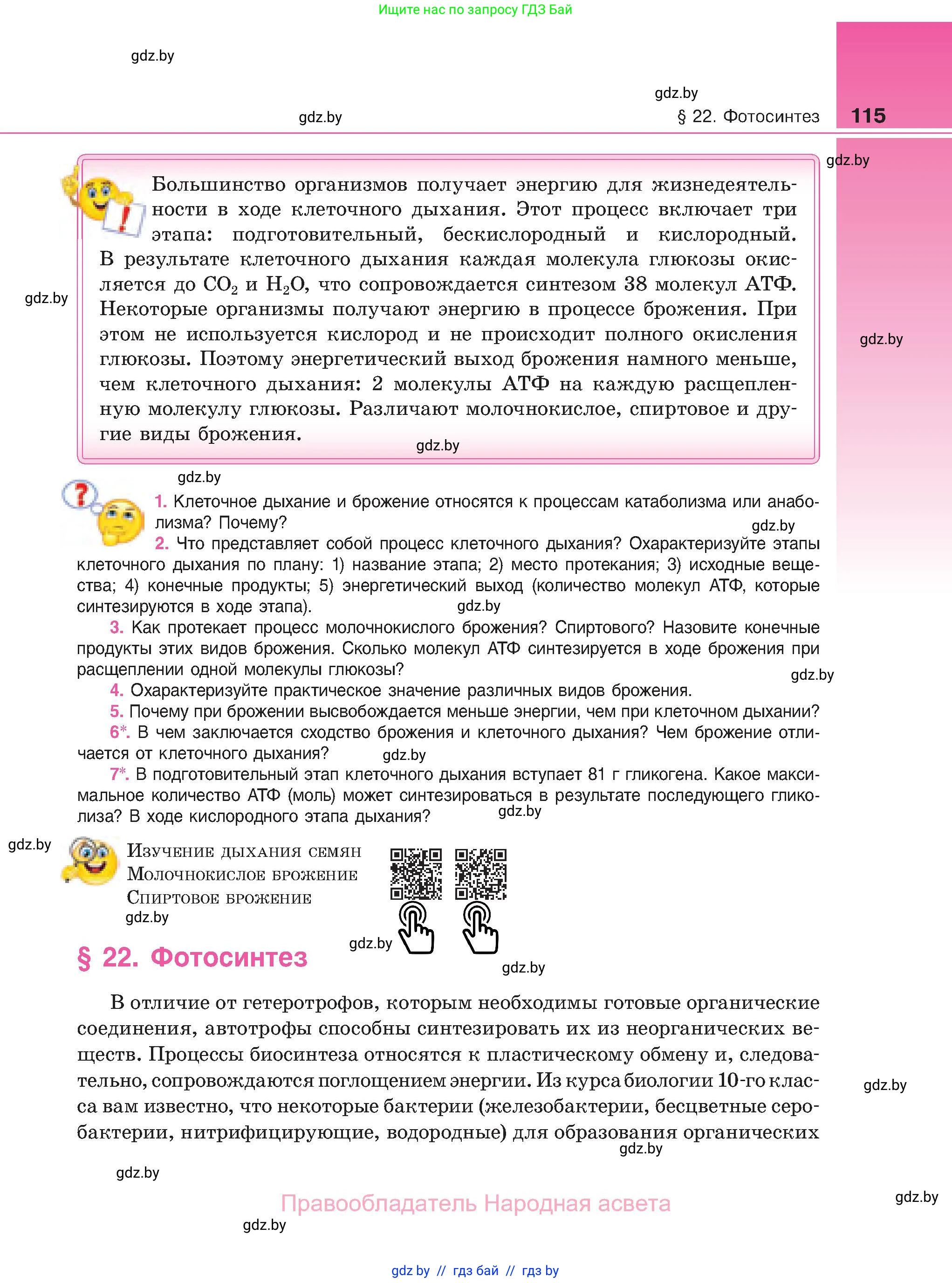 Биология, 11 класс Учебник, авторы: Дашков Максим Леонидович, Песнякевич Александр Георгиевич, Головач Алексей Михайлович, издательство Народная асвета, Минск, 2021, голубого цвета, страница 115