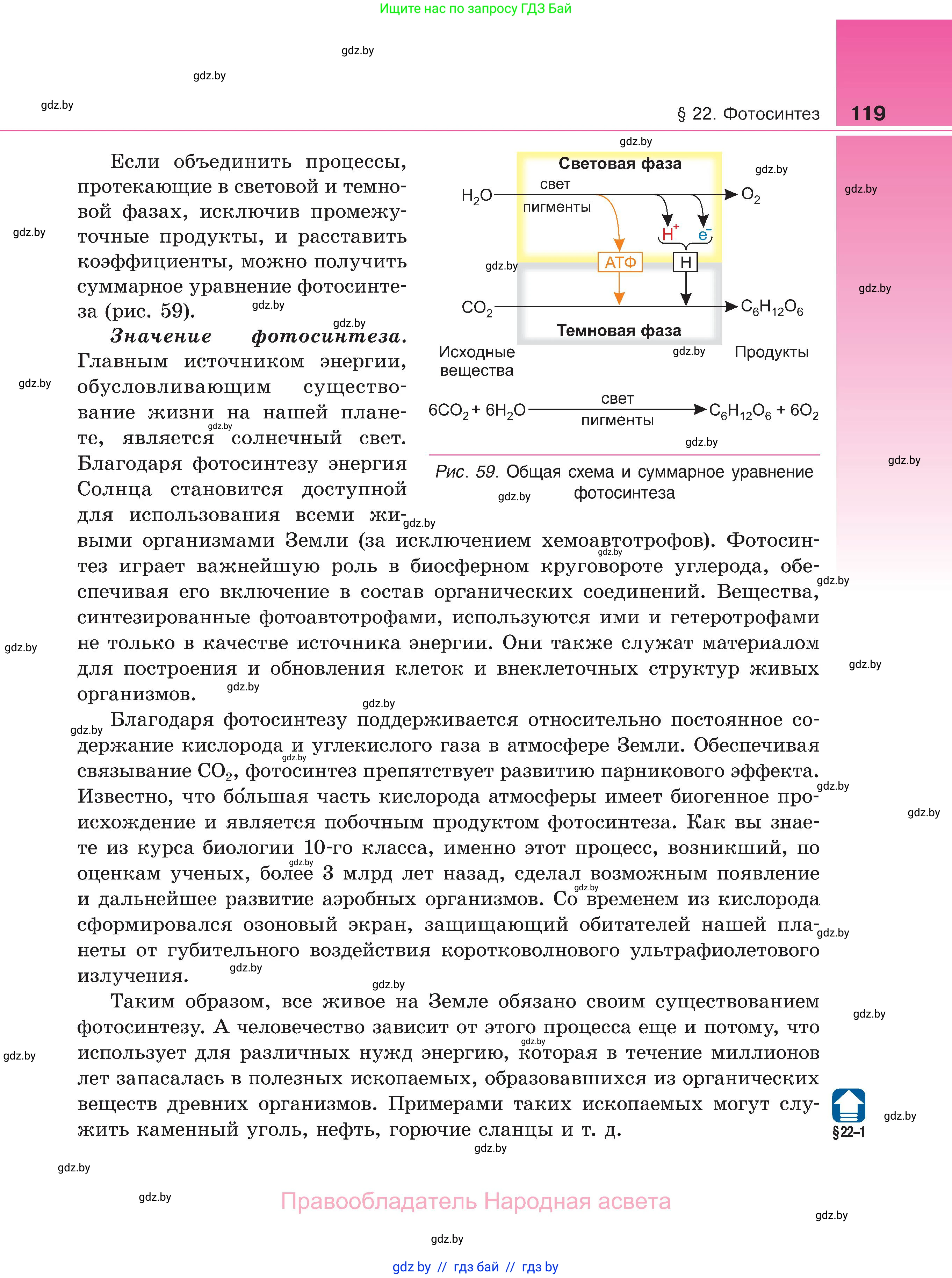 Биология, 11 класс Учебник, авторы: Дашков Максим Леонидович, Песнякевич Александр Георгиевич, Головач Алексей Михайлович, издательство Народная асвета, Минск, 2021, голубого цвета, страница 119