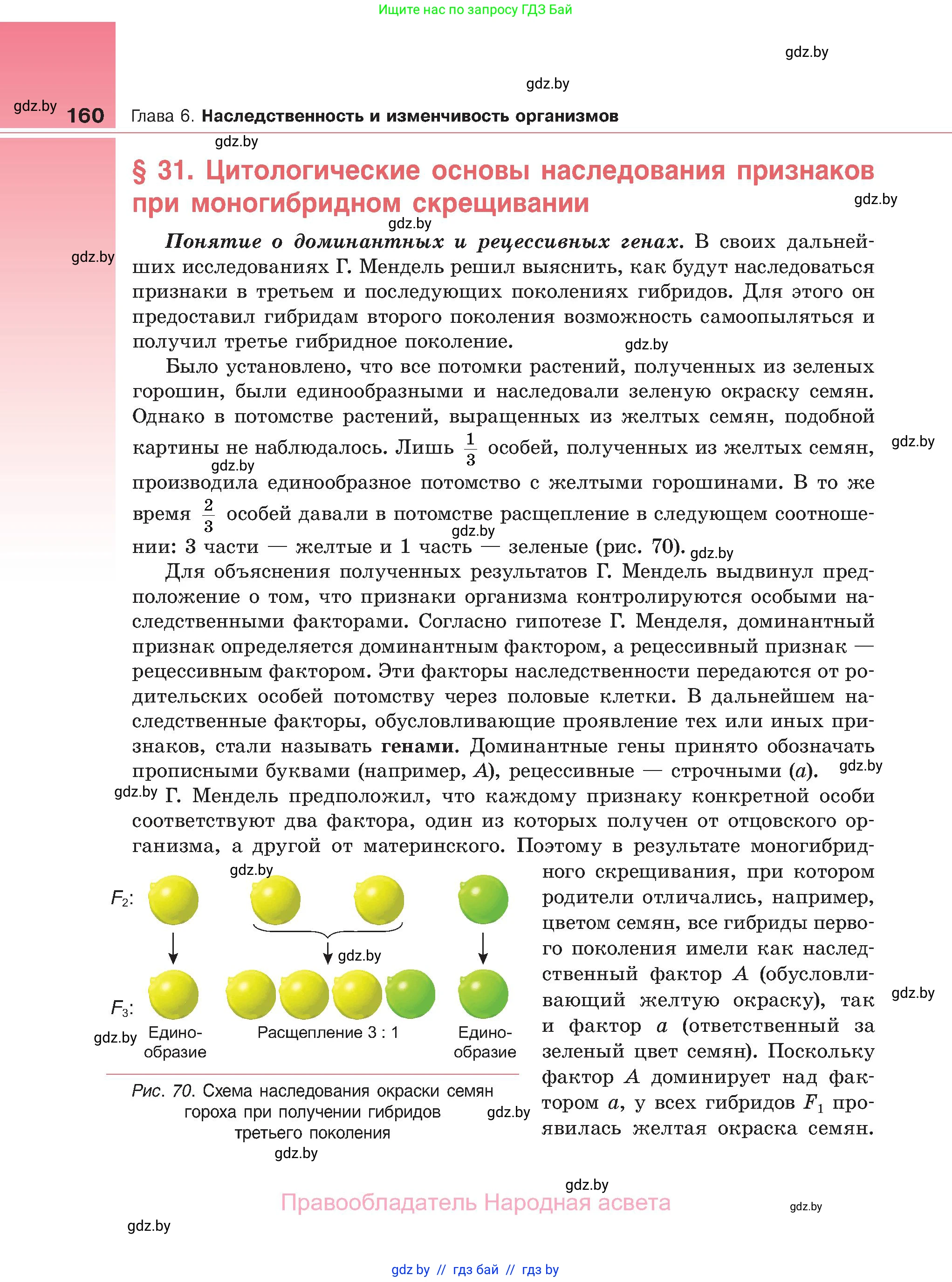 Биология, 11 класс Учебник, авторы: Дашков Максим Леонидович, Песнякевич Александр Георгиевич, Головач Алексей Михайлович, издательство Народная асвета, Минск, 2021, голубого цвета, страница 160