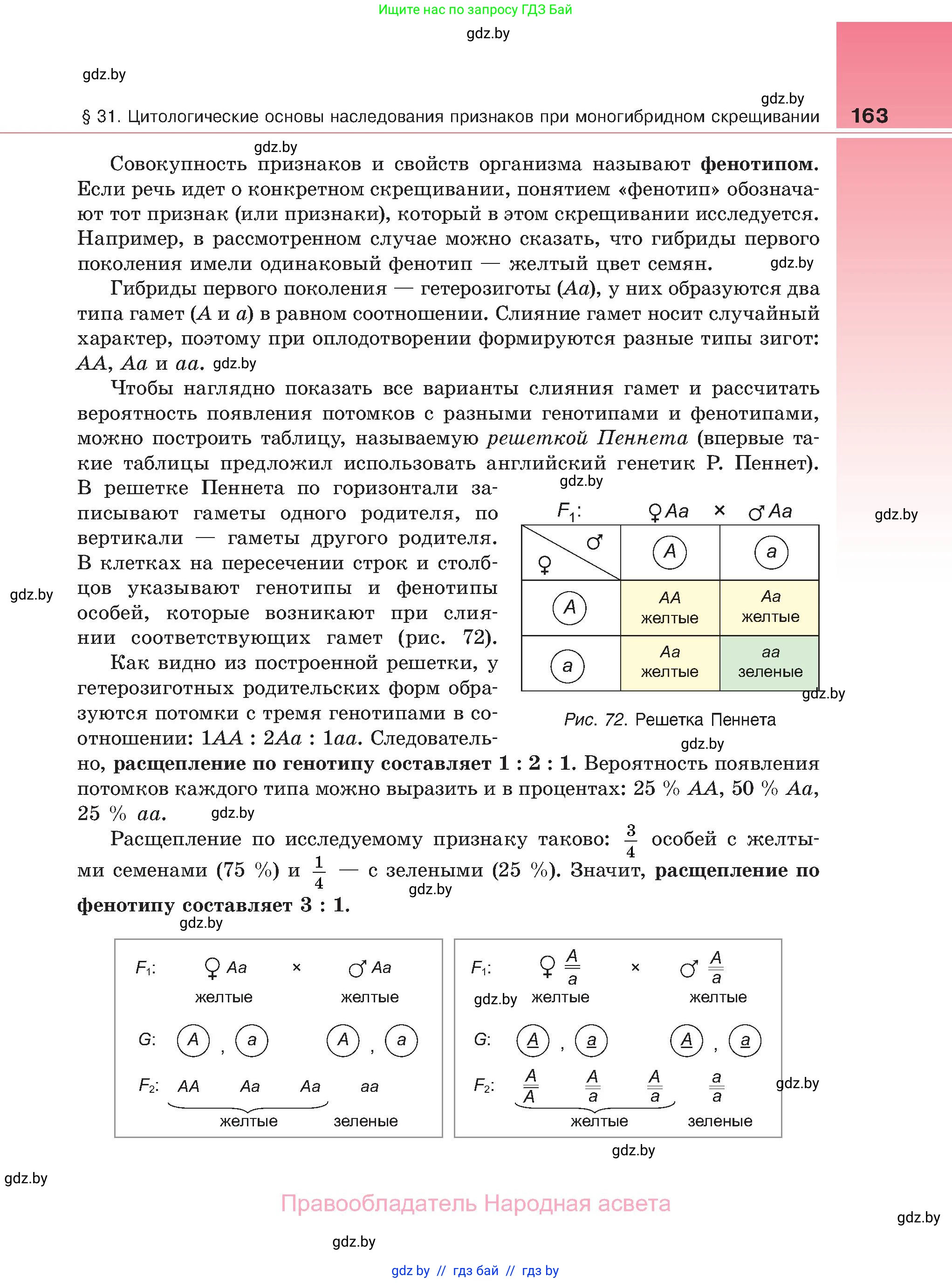 Биология, 11 класс Учебник, авторы: Дашков Максим Леонидович, Песнякевич Александр Георгиевич, Головач Алексей Михайлович, издательство Народная асвета, Минск, 2021, голубого цвета, страница 163