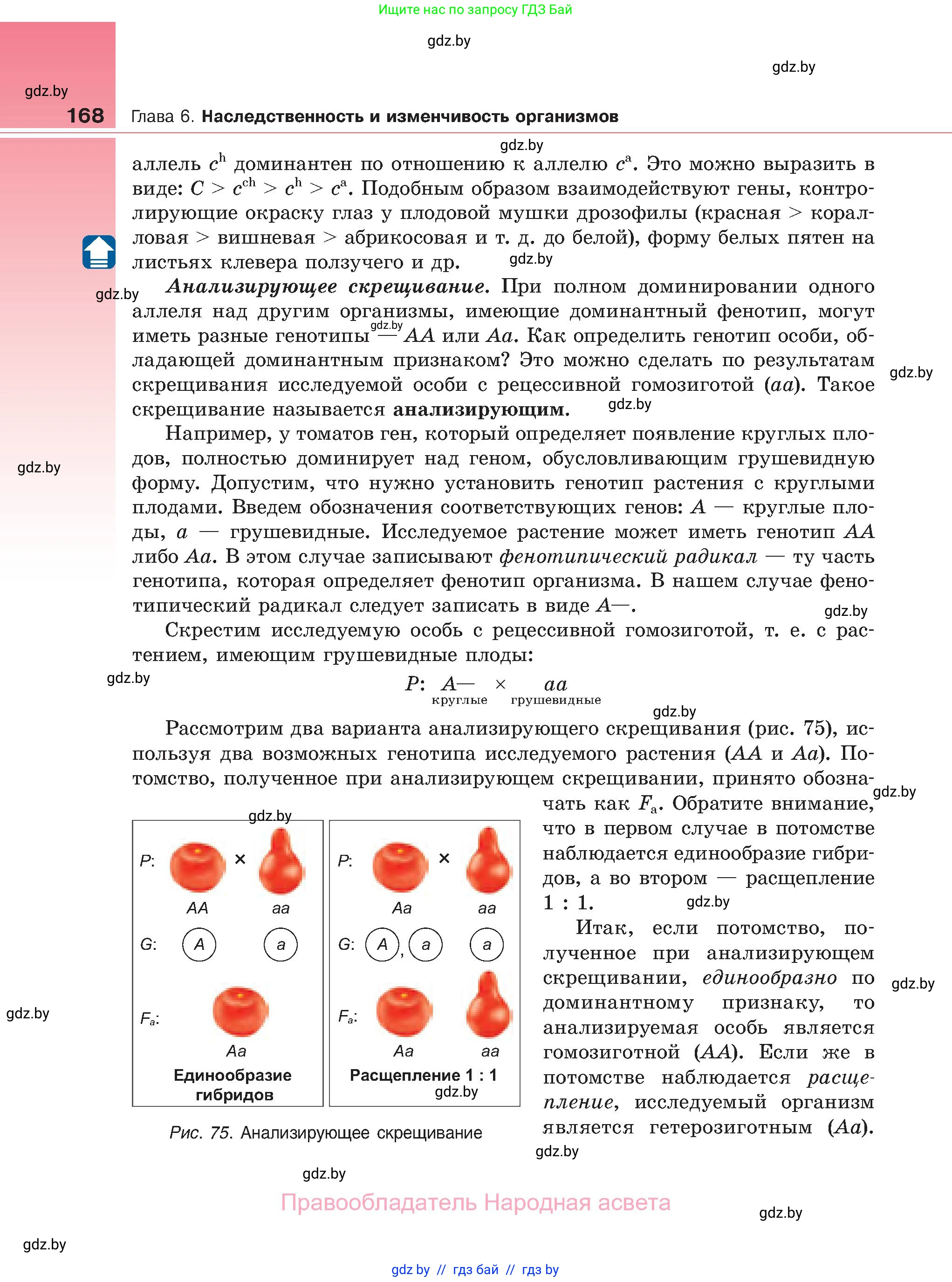 Биология, 11 класс Учебник, авторы: Дашков Максим Леонидович, Песнякевич Александр Георгиевич, Головач Алексей Михайлович, издательство Народная асвета, Минск, 2021, голубого цвета, страница 168