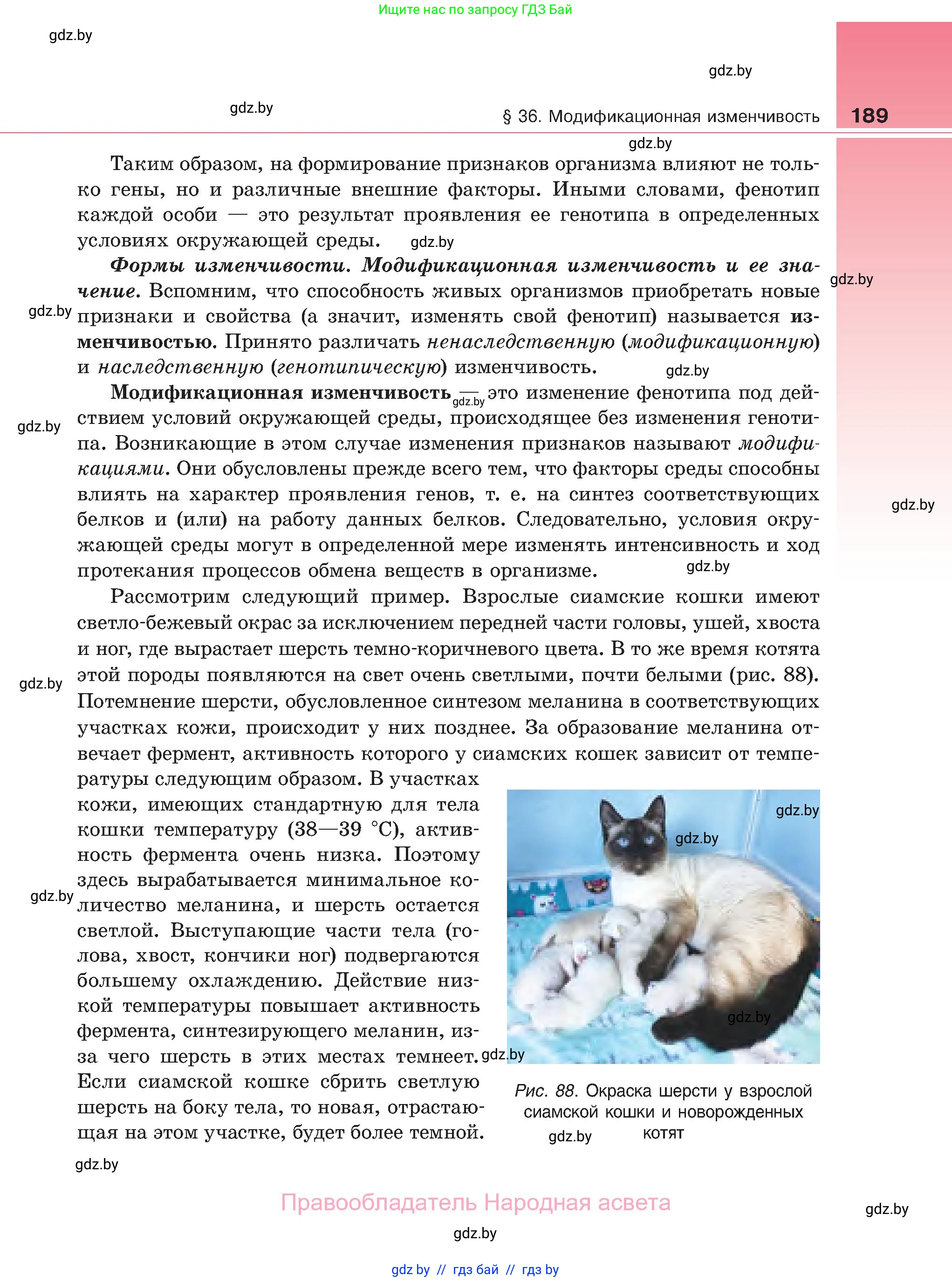 Биология, 11 класс Учебник, авторы: Дашков Максим Леонидович, Песнякевич Александр Георгиевич, Головач Алексей Михайлович, издательство Народная асвета, Минск, 2021, голубого цвета, страница 189
