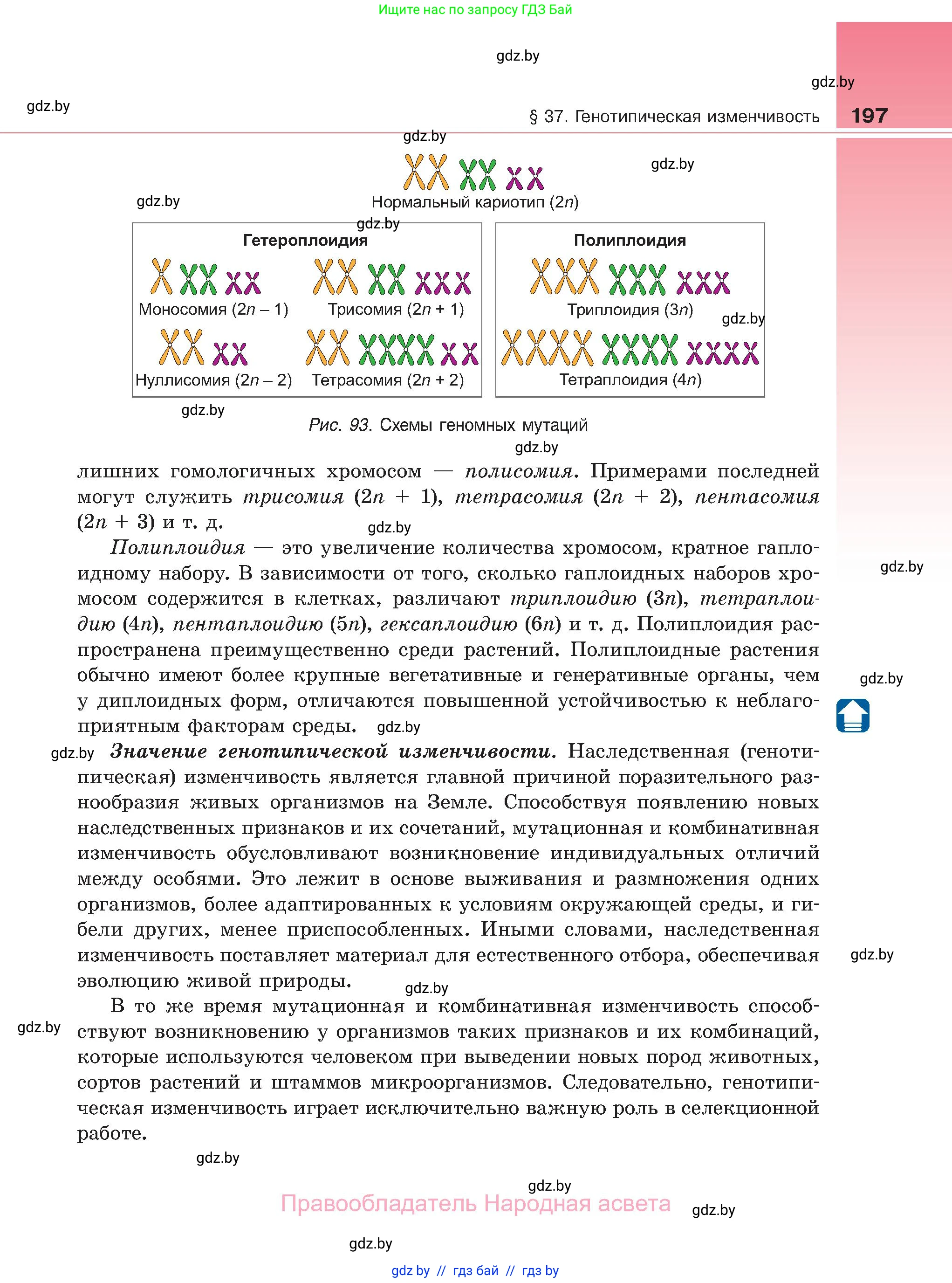 Биология, 11 класс Учебник, авторы: Дашков Максим Леонидович, Песнякевич Александр Георгиевич, Головач Алексей Михайлович, издательство Народная асвета, Минск, 2021, голубого цвета, страница 197