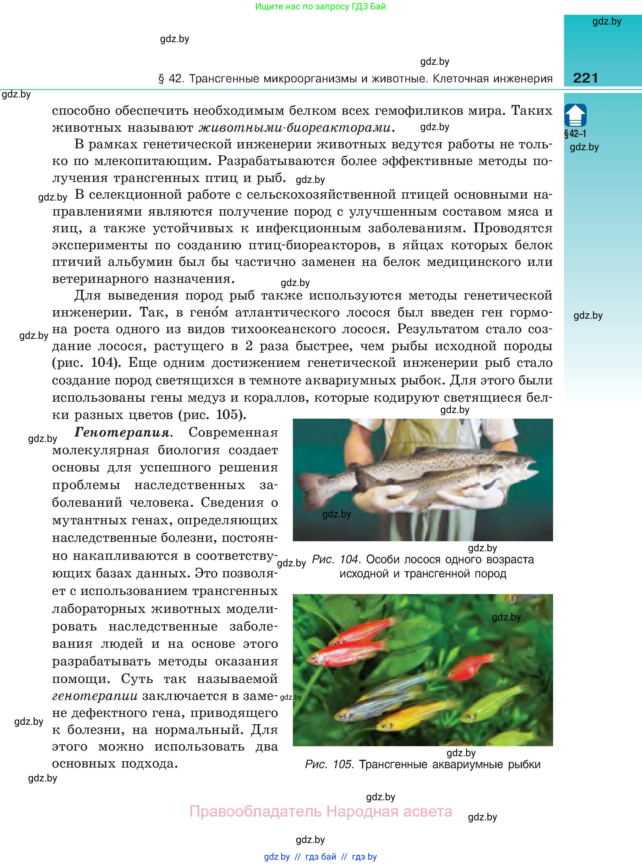 Биология, 11 класс Учебник, авторы: Дашков Максим Леонидович, Песнякевич Александр Георгиевич, Головач Алексей Михайлович, издательство Народная асвета, Минск, 2021, голубого цвета, страница 221