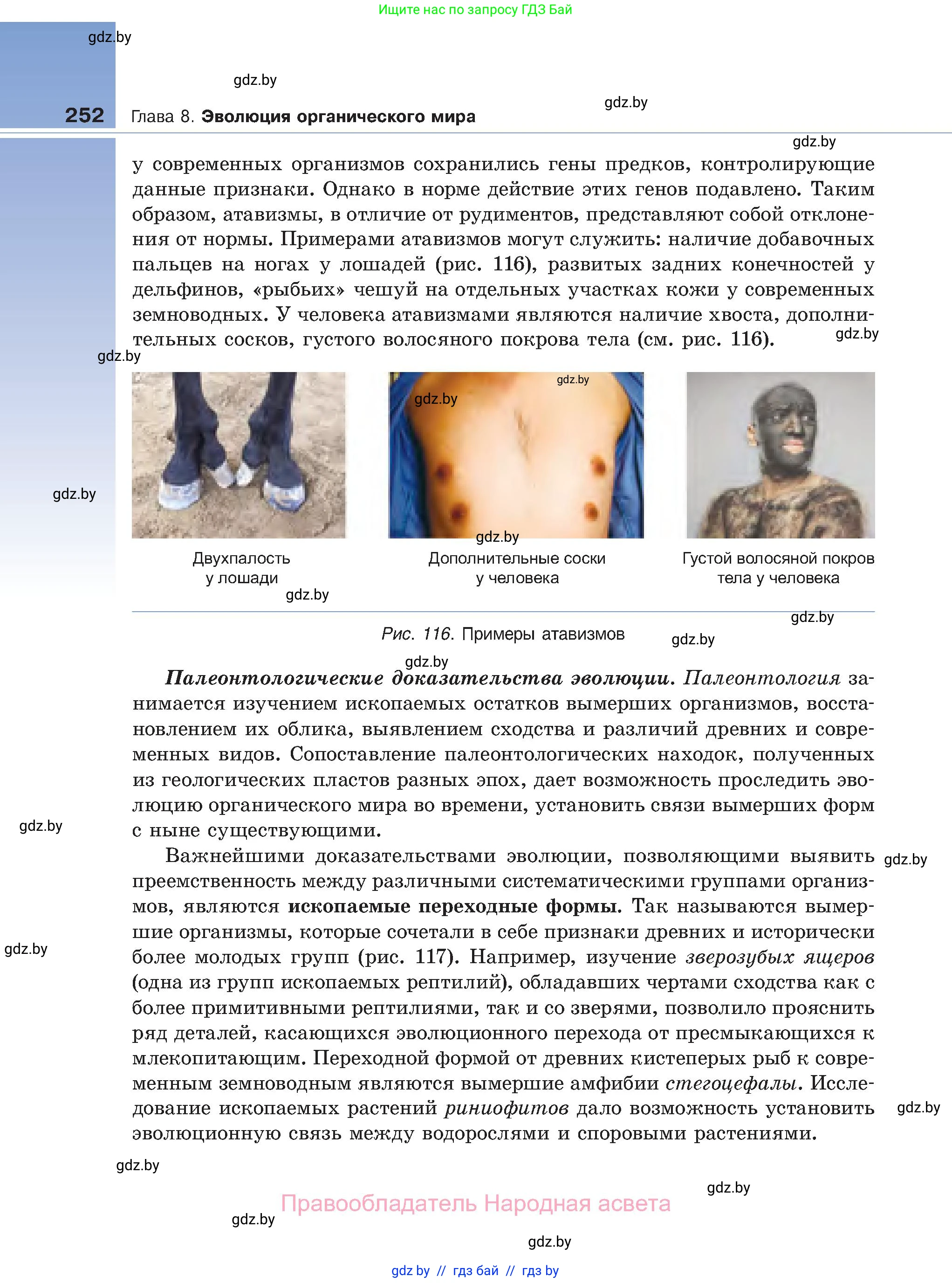 Биология, 11 класс Учебник, авторы: Дашков Максим Леонидович, Песнякевич Александр Георгиевич, Головач Алексей Михайлович, издательство Народная асвета, Минск, 2021, голубого цвета, страница 252