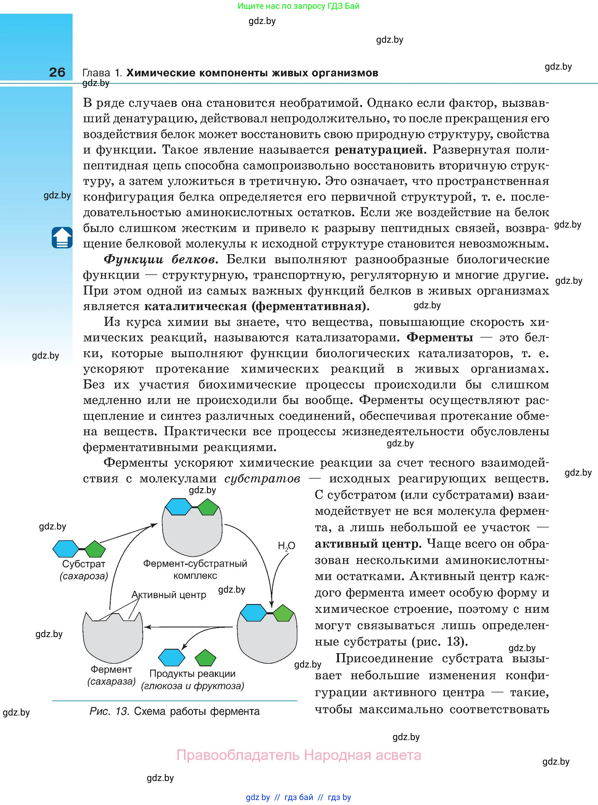 Биология, 11 класс Учебник, авторы: Дашков Максим Леонидович, Песнякевич Александр Георгиевич, Головач Алексей Михайлович, издательство Народная асвета, Минск, 2021, голубого цвета, страница 26