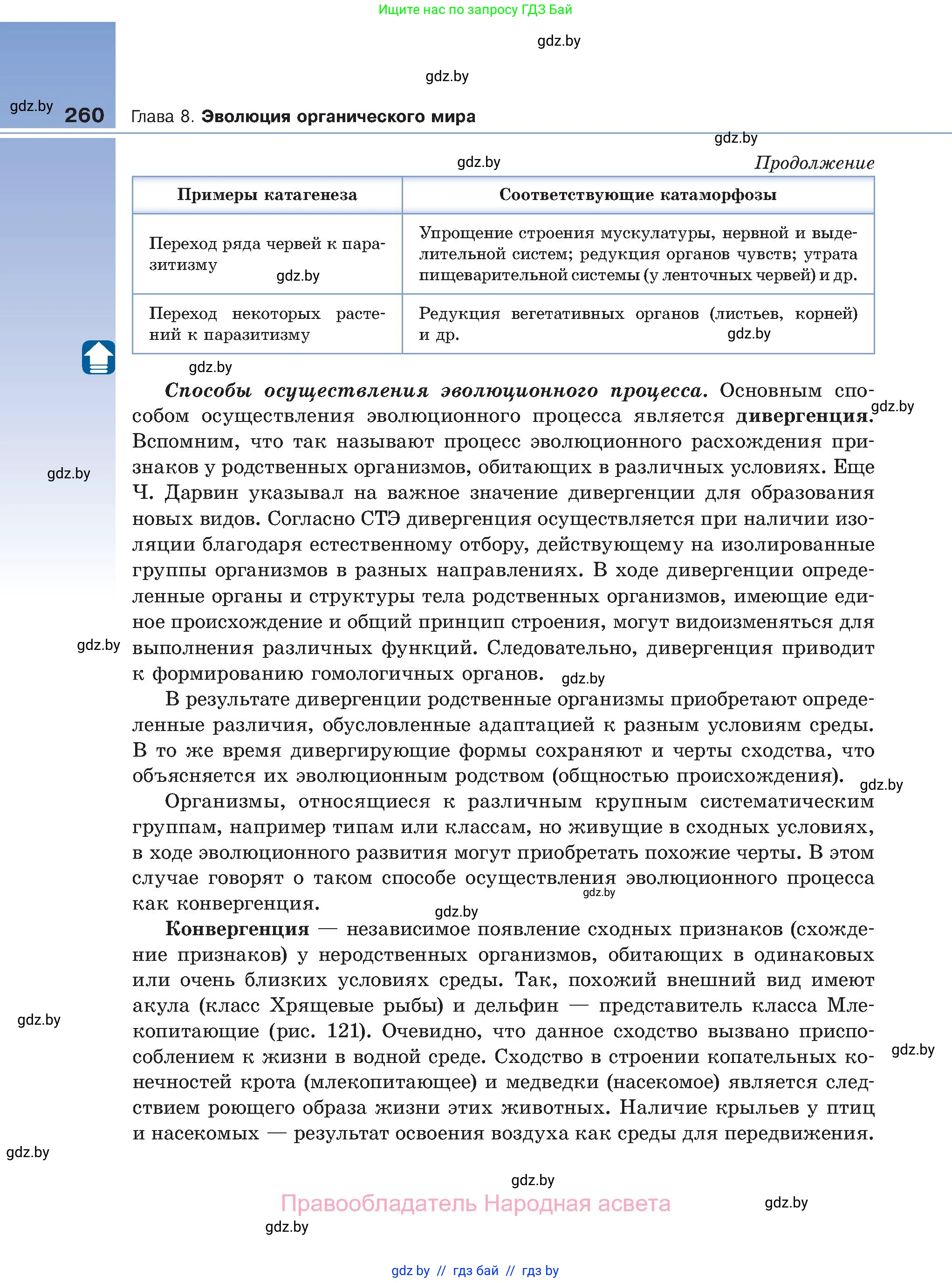 Биология, 11 класс Учебник, авторы: Дашков Максим Леонидович, Песнякевич Александр Георгиевич, Головач Алексей Михайлович, издательство Народная асвета, Минск, 2021, голубого цвета, страница 260