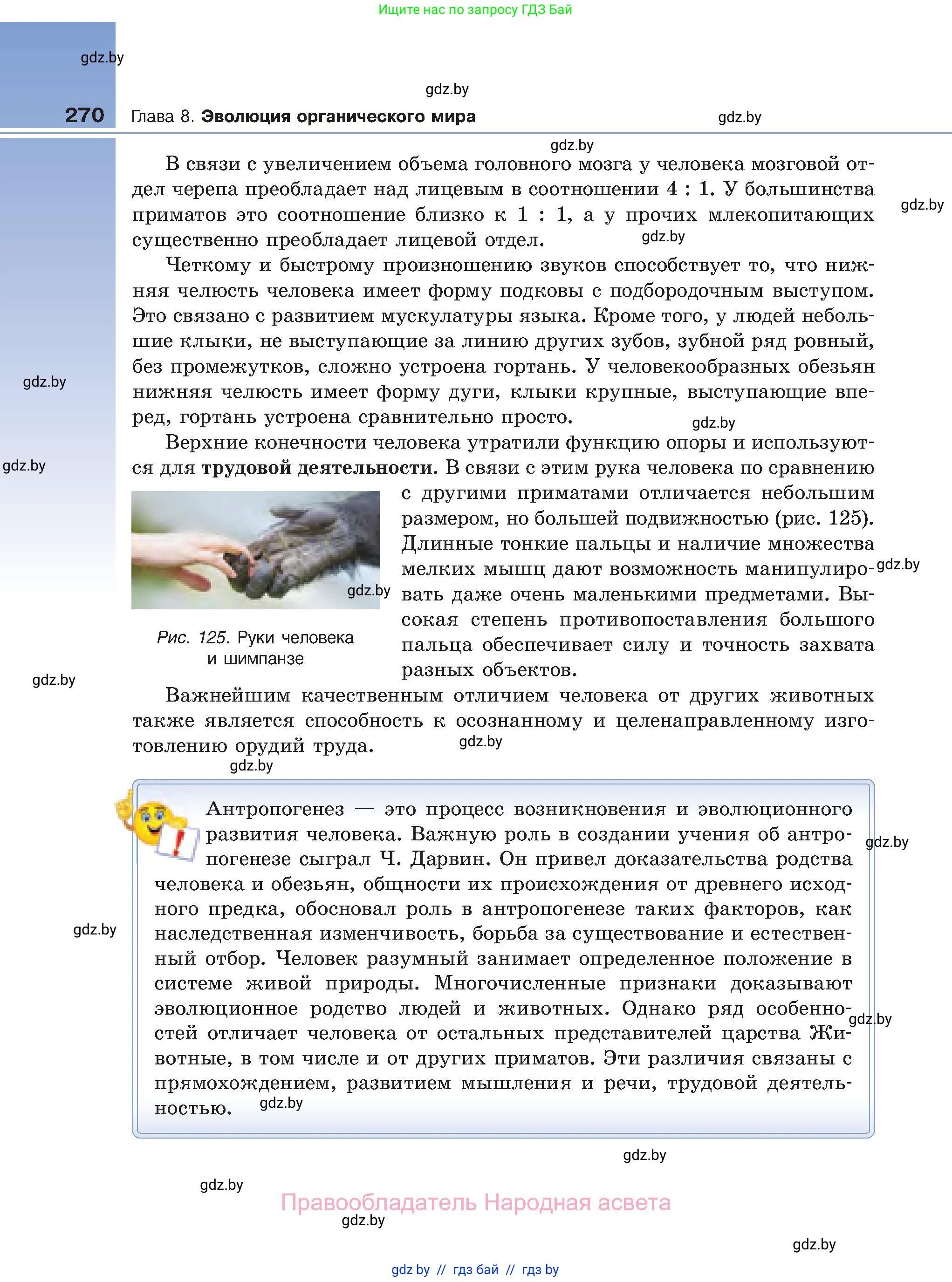 Биология, 11 класс Учебник, авторы: Дашков Максим Леонидович, Песнякевич Александр Георгиевич, Головач Алексей Михайлович, издательство Народная асвета, Минск, 2021, голубого цвета, страница 270