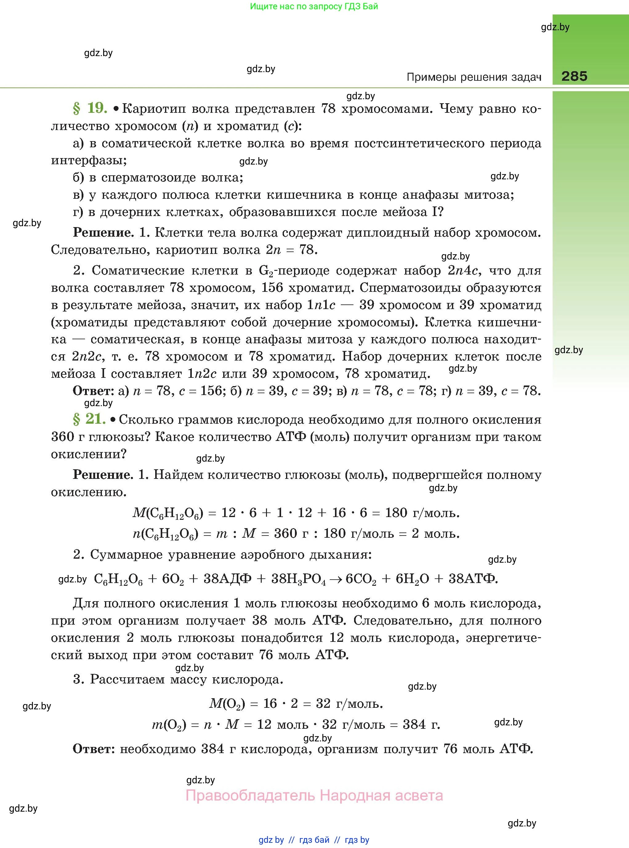 Биология, 11 класс Учебник, авторы: Дашков Максим Леонидович, Песнякевич Александр Георгиевич, Головач Алексей Михайлович, издательство Народная асвета, Минск, 2021, голубого цвета, страница 285