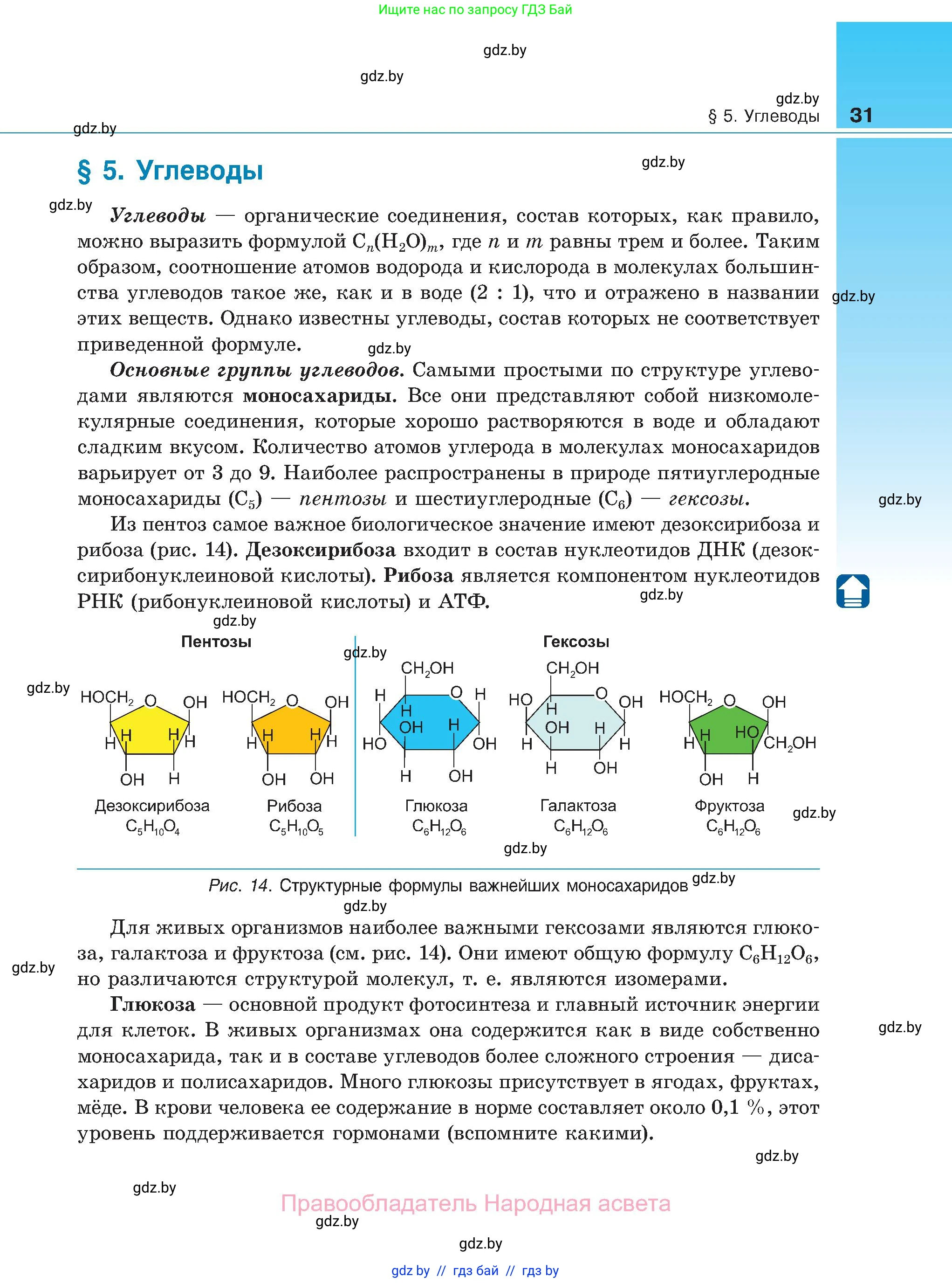 Биология, 11 класс Учебник, авторы: Дашков Максим Леонидович, Песнякевич Александр Георгиевич, Головач Алексей Михайлович, издательство Народная асвета, Минск, 2021, голубого цвета, страница 31