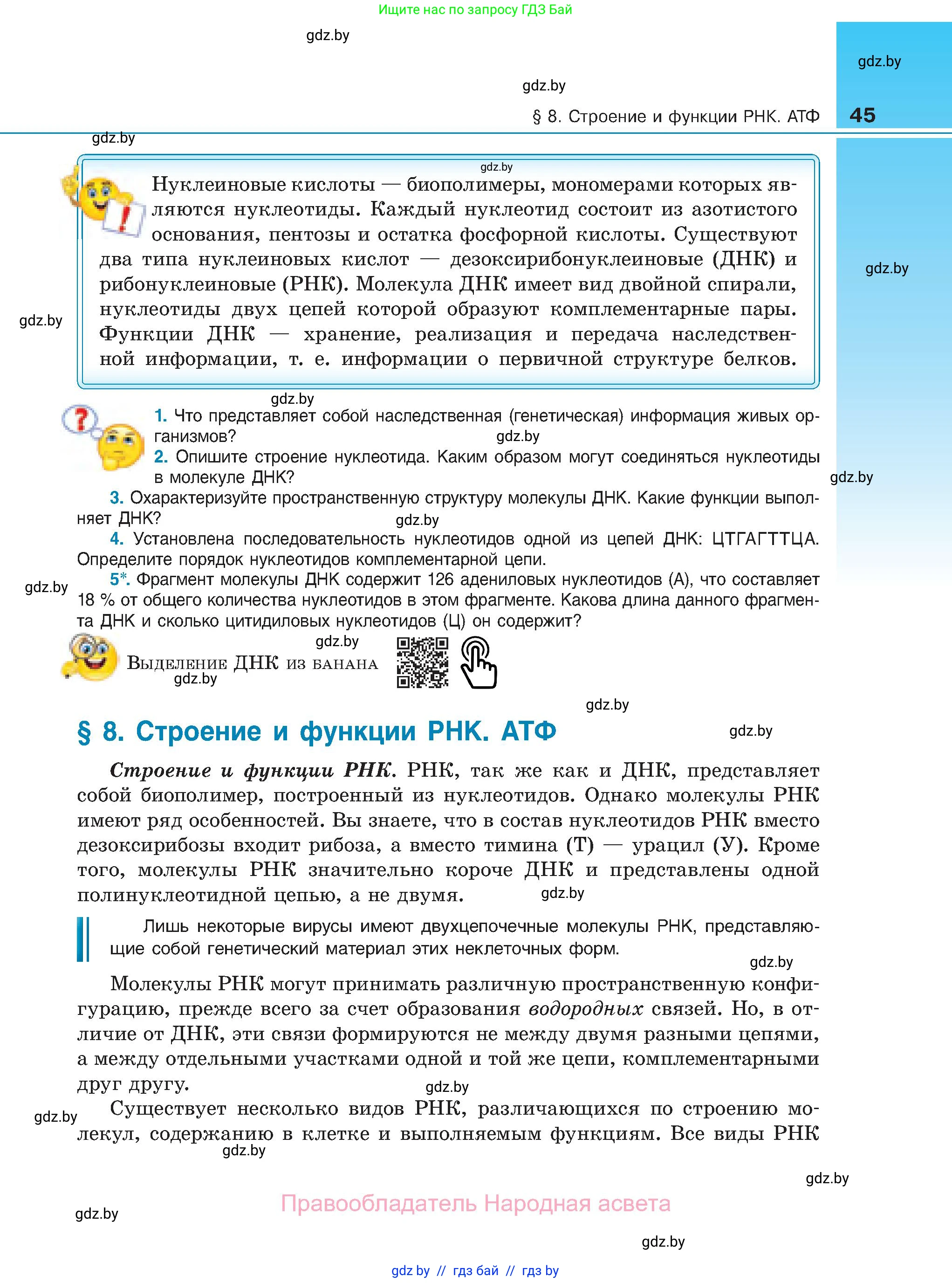 Биология, 11 класс Учебник, авторы: Дашков Максим Леонидович, Песнякевич Александр Георгиевич, Головач Алексей Михайлович, издательство Народная асвета, Минск, 2021, голубого цвета, страница 45