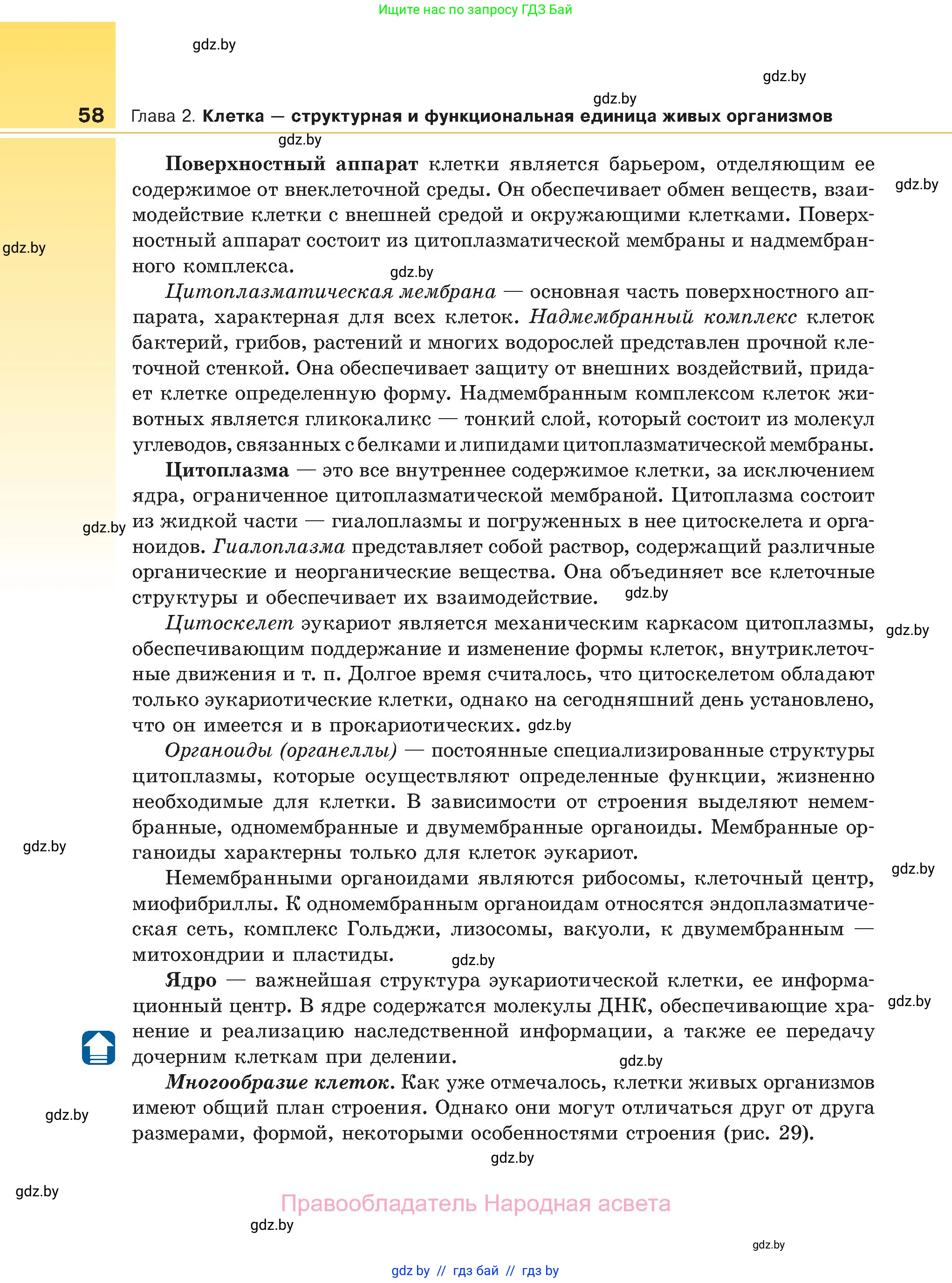 Биология, 11 класс Учебник, авторы: Дашков Максим Леонидович, Песнякевич Александр Георгиевич, Головач Алексей Михайлович, издательство Народная асвета, Минск, 2021, голубого цвета, страница 58