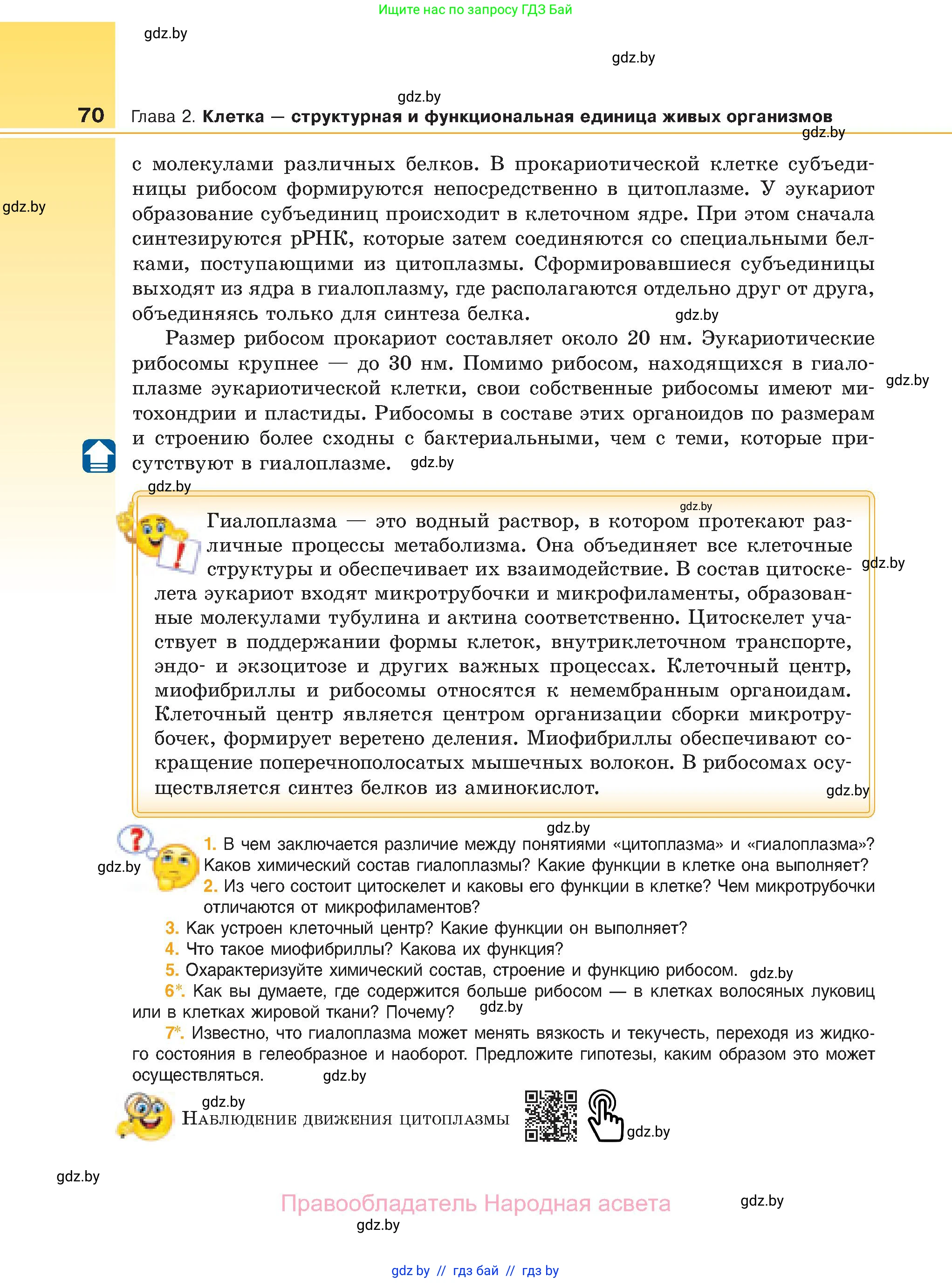 Биология, 11 класс Учебник, авторы: Дашков Максим Леонидович, Песнякевич Александр Георгиевич, Головач Алексей Михайлович, издательство Народная асвета, Минск, 2021, голубого цвета, страница 70