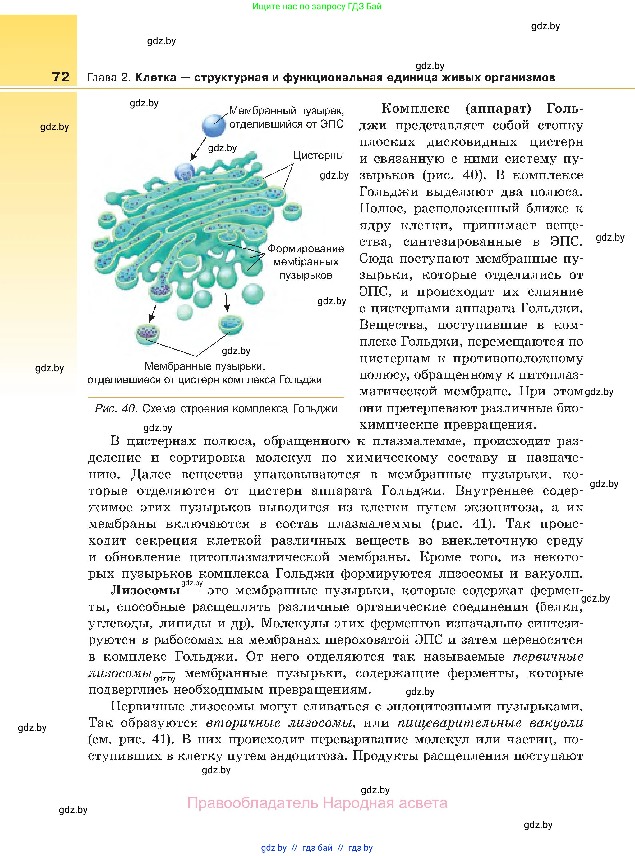 Биология, 11 класс Учебник, авторы: Дашков Максим Леонидович, Песнякевич Александр Георгиевич, Головач Алексей Михайлович, издательство Народная асвета, Минск, 2021, голубого цвета, страница 72