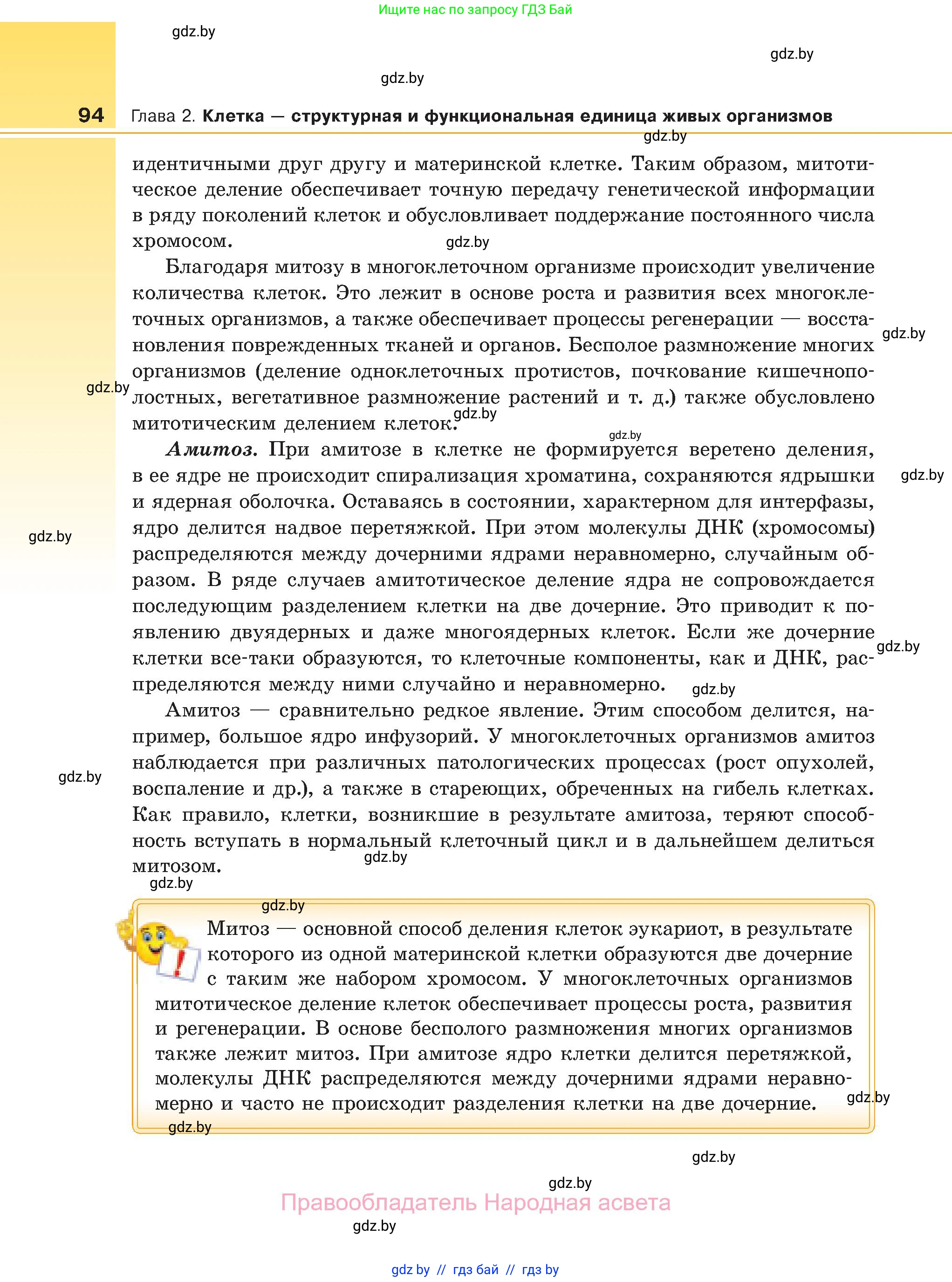 Биология, 11 класс Учебник, авторы: Дашков Максим Леонидович, Песнякевич Александр Георгиевич, Головач Алексей Михайлович, издательство Народная асвета, Минск, 2021, голубого цвета, страница 94