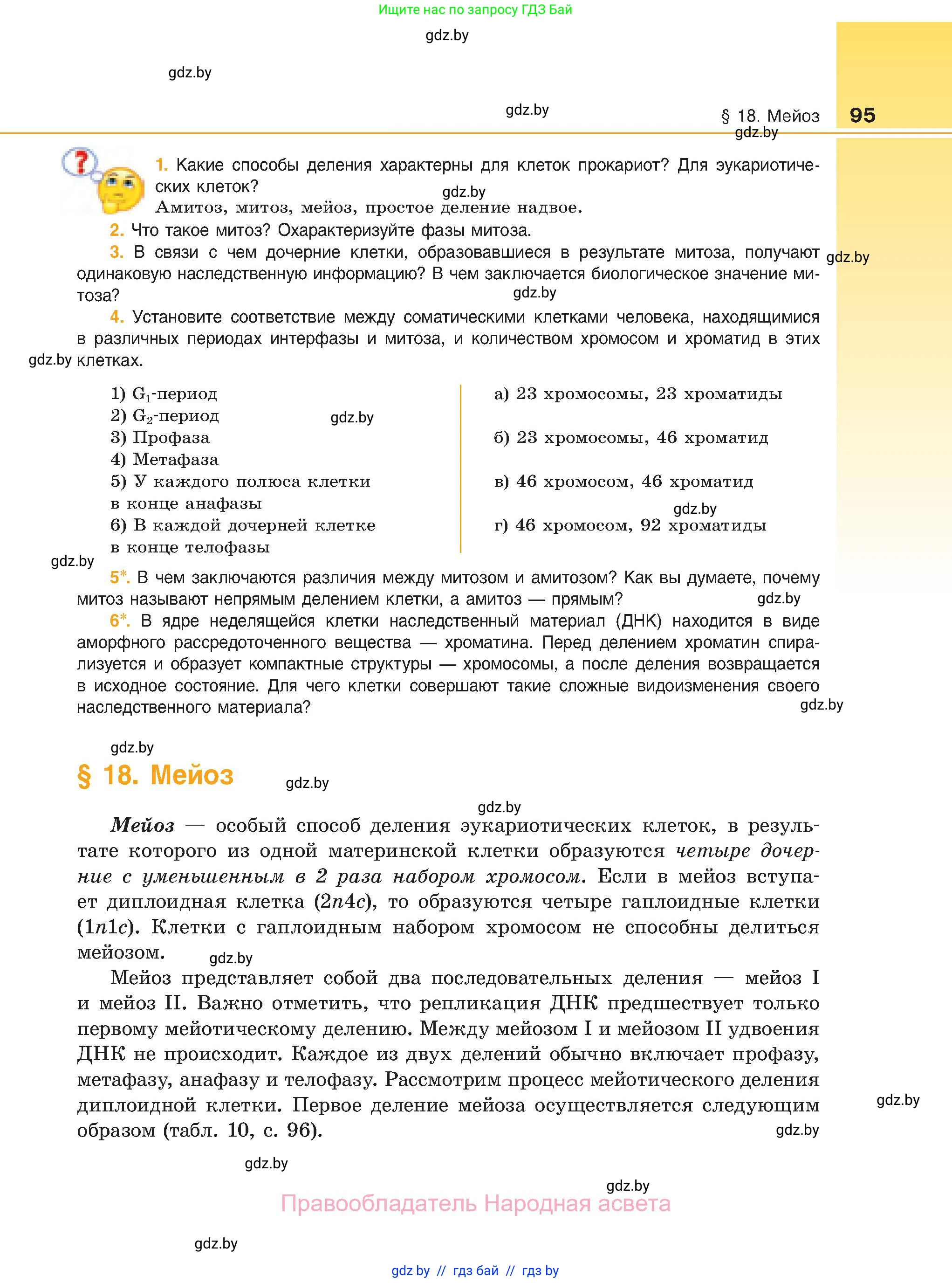 Биология, 11 класс Учебник, авторы: Дашков Максим Леонидович, Песнякевич Александр Георгиевич, Головач Алексей Михайлович, издательство Народная асвета, Минск, 2021, голубого цвета, страница 95