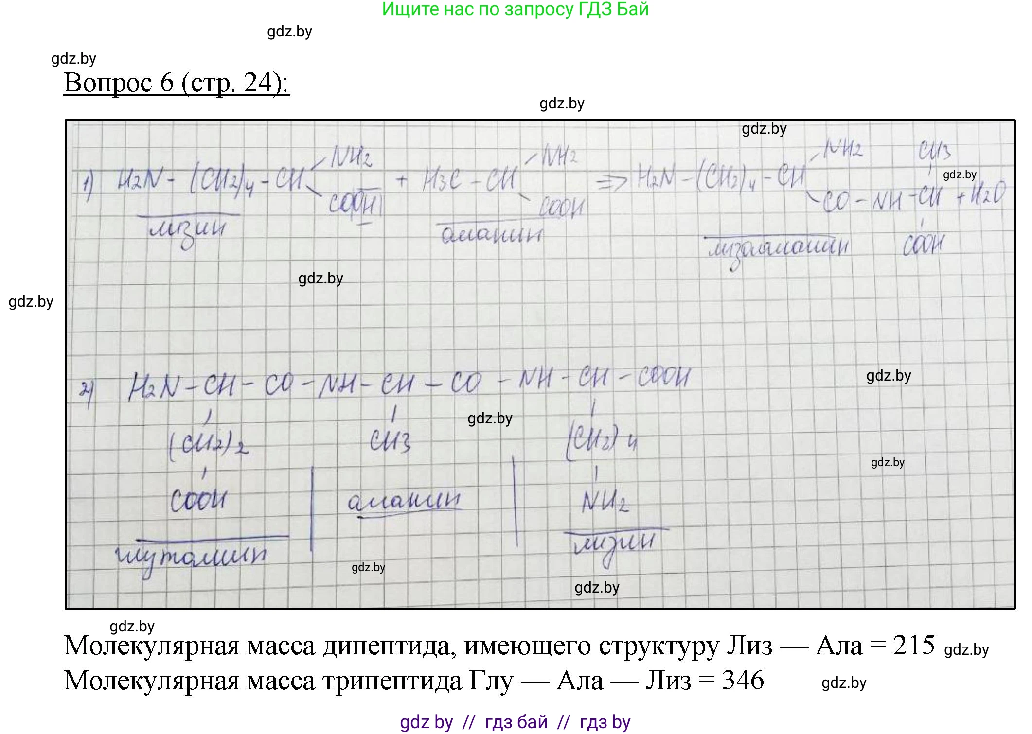 Биология, 11 класс Учебник, авторы: Дашков Максим Леонидович, Песнякевич Александр Георгиевич, Головач Алексей Михайлович, издательство Народная асвета, Минск, 2021, голубого цвета, страница 24, номер 6, Решение