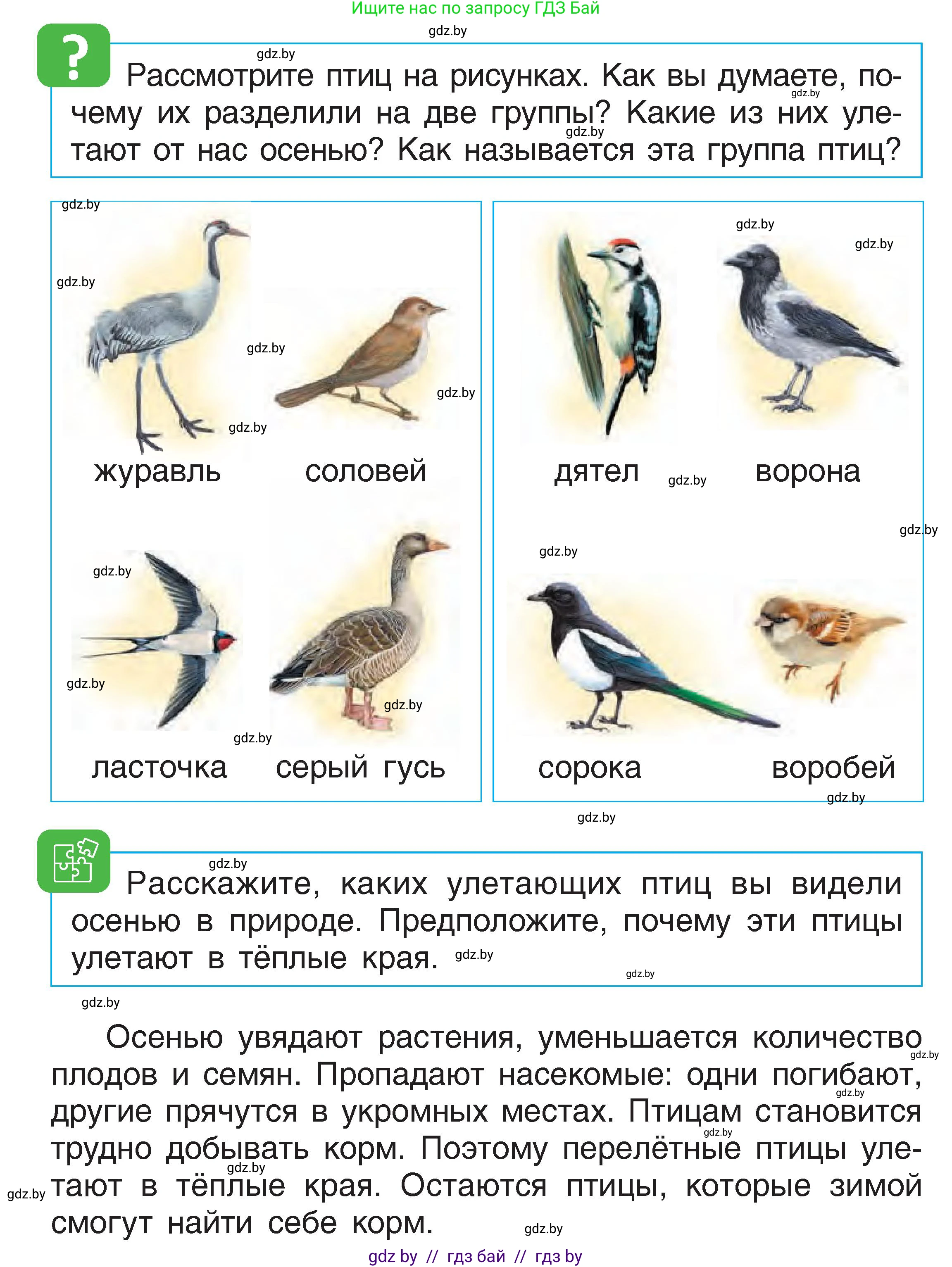 Человек и мир, 1 класс Учебник, авторы: Трафимова Галина Владимировна, Трафимов Сергей Анатольевич, издательство Национальный институт образования, Минск, 2023, салатового цвета, страница 22, Условие