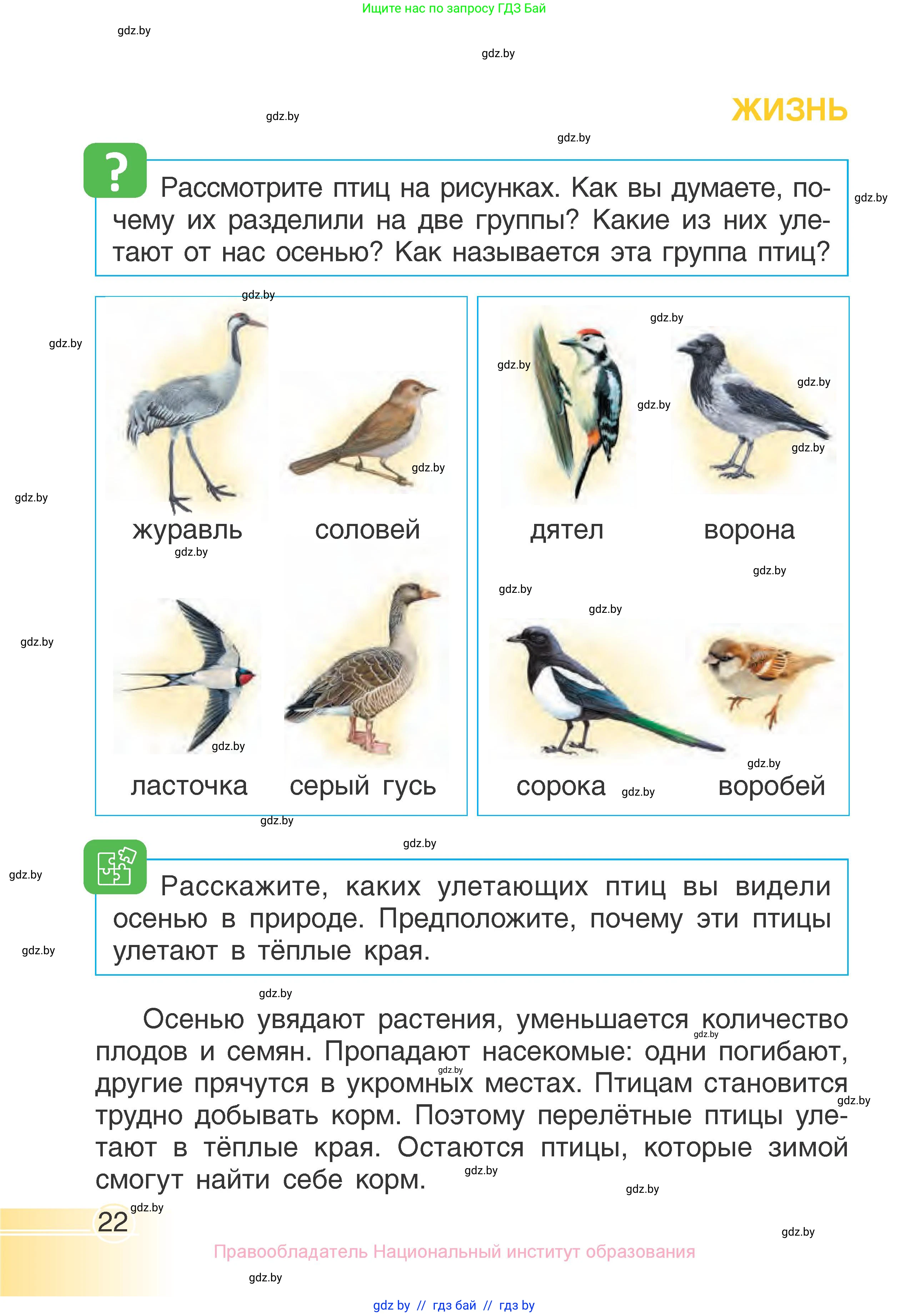 Человек и мир, 1 класс Учебник, авторы: Трафимова Галина Владимировна, Трафимов Сергей Анатольевич, издательство Национальный институт образования, Минск, 2023, салатового цвета, страница 22