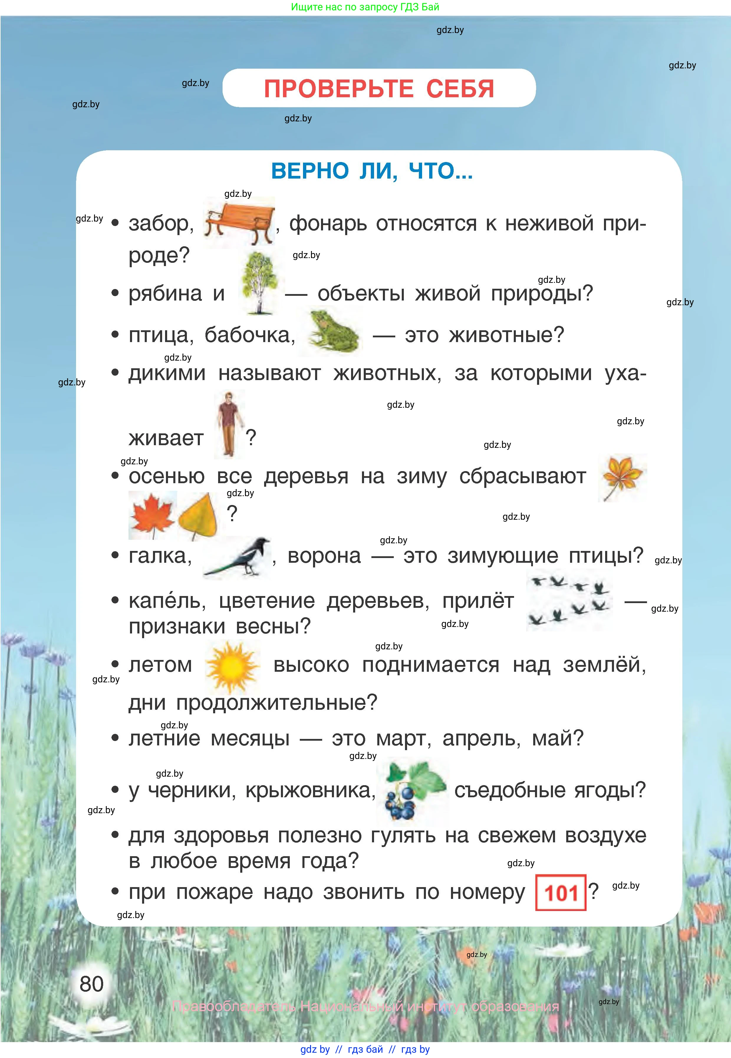 Человек и мир, 1 класс Учебник, авторы: Трафимова Галина Владимировна, Трафимов Сергей Анатольевич, издательство Национальный институт образования, Минск, 2023, салатового цвета, страница 80