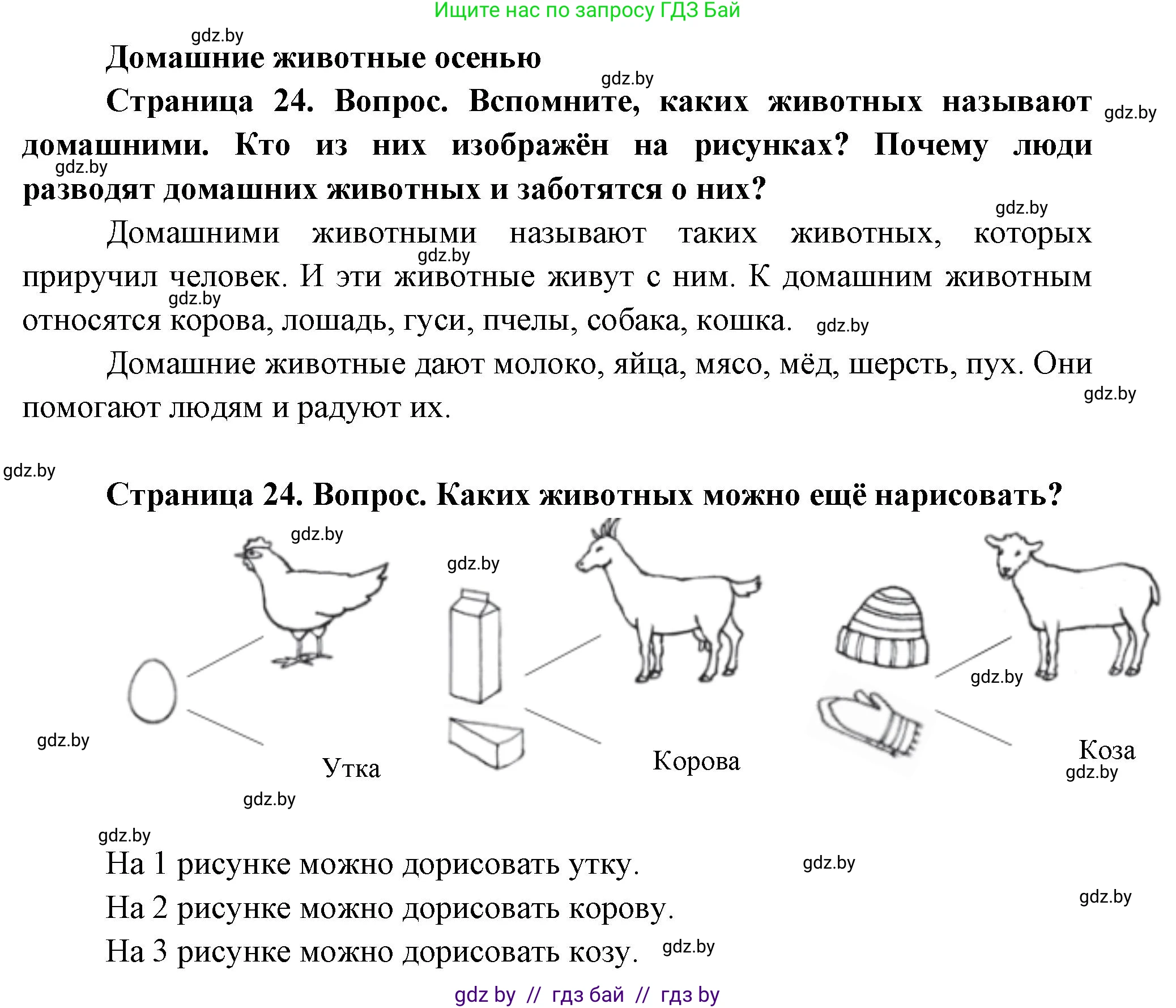 Человек и мир, 1 класс Учебник, авторы: Трафимова Галина Владимировна, Трафимов Сергей Анатольевич, издательство Национальный институт образования, Минск, 2023, салатового цвета, страница 24, Решение