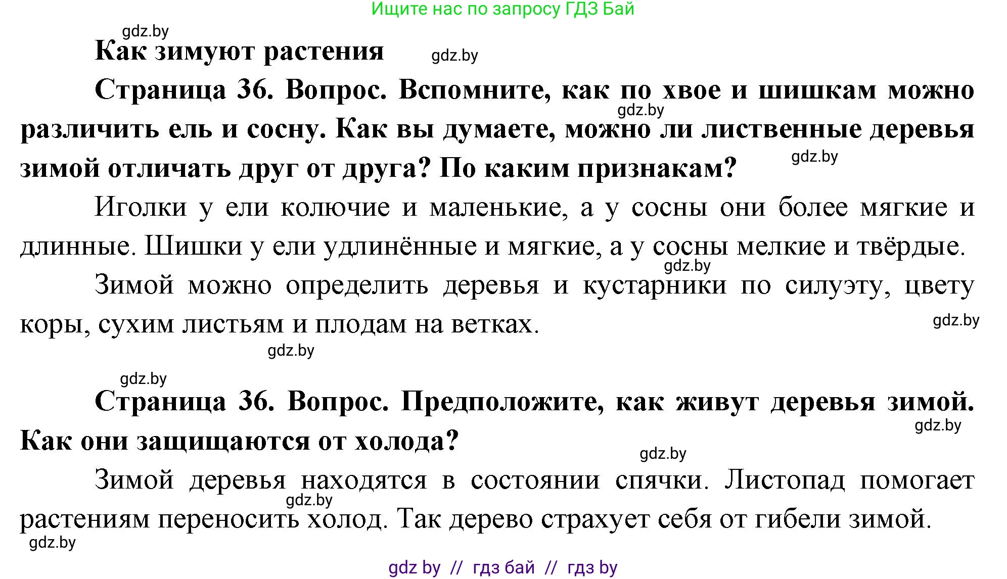 Человек и мир, 1 класс Учебник, авторы: Трафимова Галина Владимировна, Трафимов Сергей Анатольевич, издательство Национальный институт образования, Минск, 2023, салатового цвета, страница 36, Решение