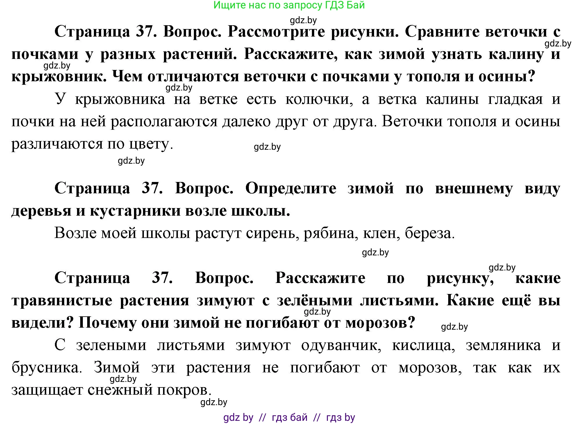Человек и мир, 1 класс Учебник, авторы: Трафимова Галина Владимировна, Трафимов Сергей Анатольевич, издательство Национальный институт образования, Минск, 2023, салатового цвета, страница 37, Решение