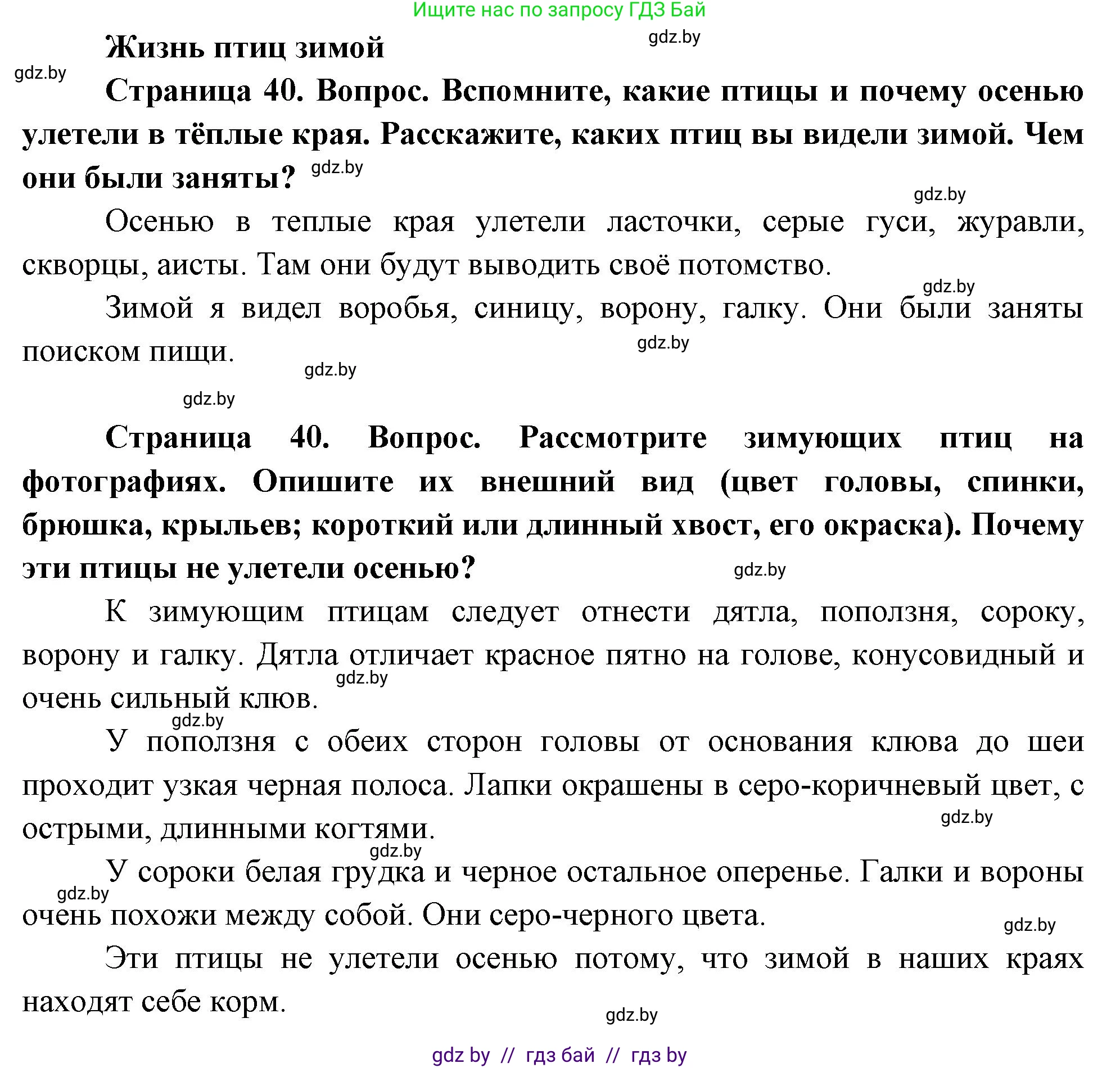 Человек и мир, 1 класс Учебник, авторы: Трафимова Галина Владимировна, Трафимов Сергей Анатольевич, издательство Национальный институт образования, Минск, 2023, салатового цвета, страница 40, Решение