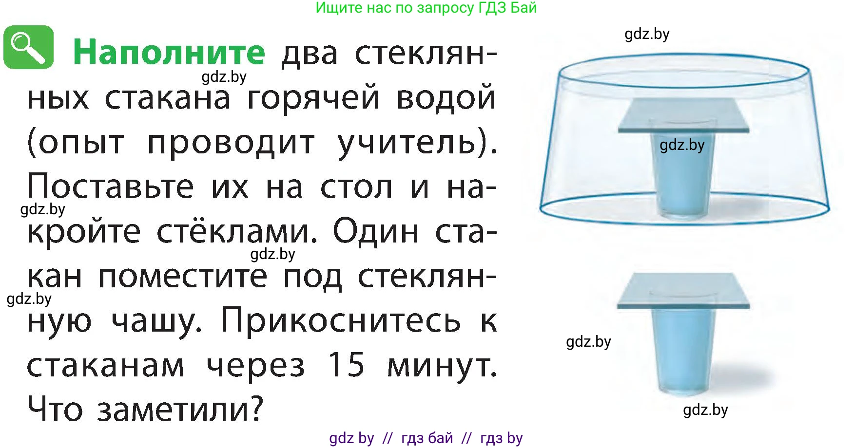 Человек и мир, 2 класс Учебник, авторы: Трафимова Галина Владимировна, Трафимов Сергей Анатольевич, издательство Академия образования, Минск, 2024, страница 13, номер 5, Условие