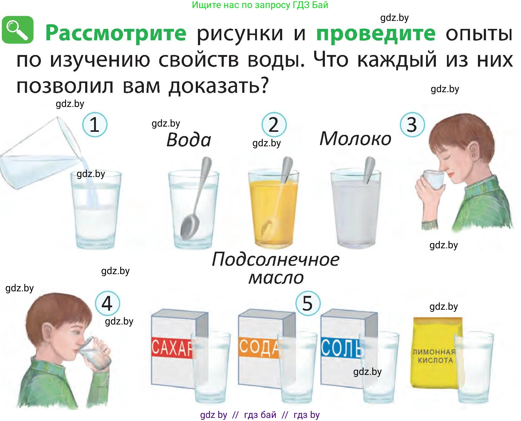 Человек и мир, 2 класс Учебник, авторы: Трафимова Галина Владимировна, Трафимов Сергей Анатольевич, издательство Академия образования, Минск, 2024, страница 20, номер 4, Условие