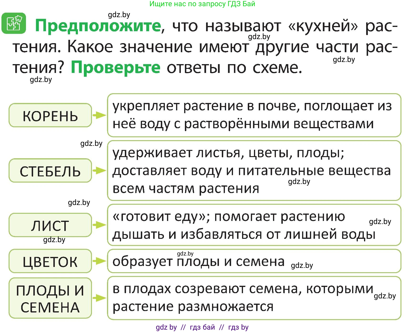 Человек и мир, 2 класс Учебник, авторы: Трафимова Галина Владимировна, Трафимов Сергей Анатольевич, издательство Академия образования, Минск, 2024, страница 38, номер 4, Условие