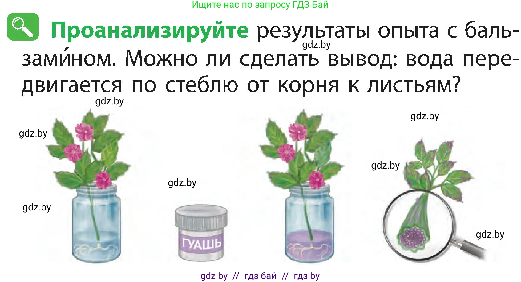 Человек и мир, 2 класс Учебник, авторы: Трафимова Галина Владимировна, Трафимов Сергей Анатольевич, издательство Академия образования, Минск, 2024, страница 39, номер 5, Условие