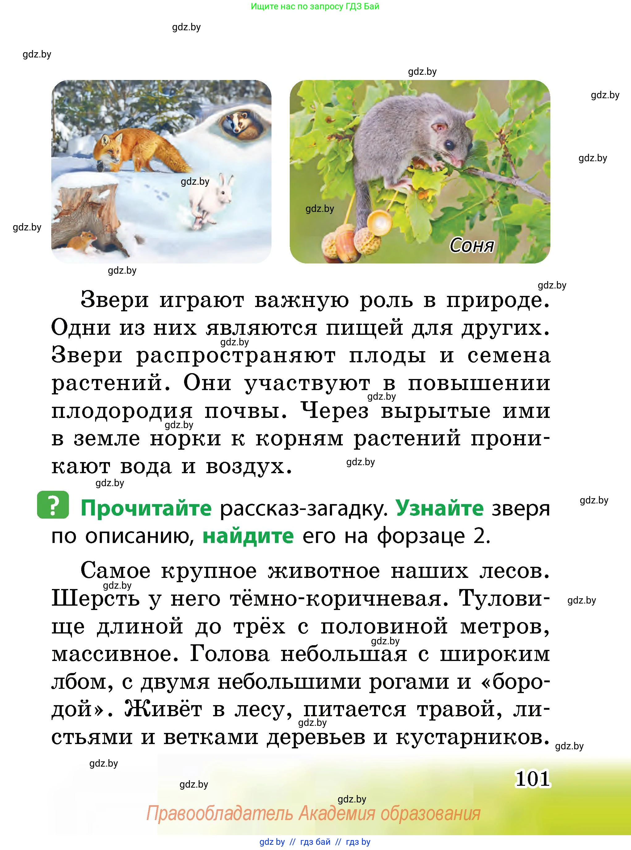 Человек и мир, 2 класс Учебник, авторы: Трафимова Галина Владимировна, Трафимов Сергей Анатольевич, издательство Академия образования, Минск, 2024, страница 101