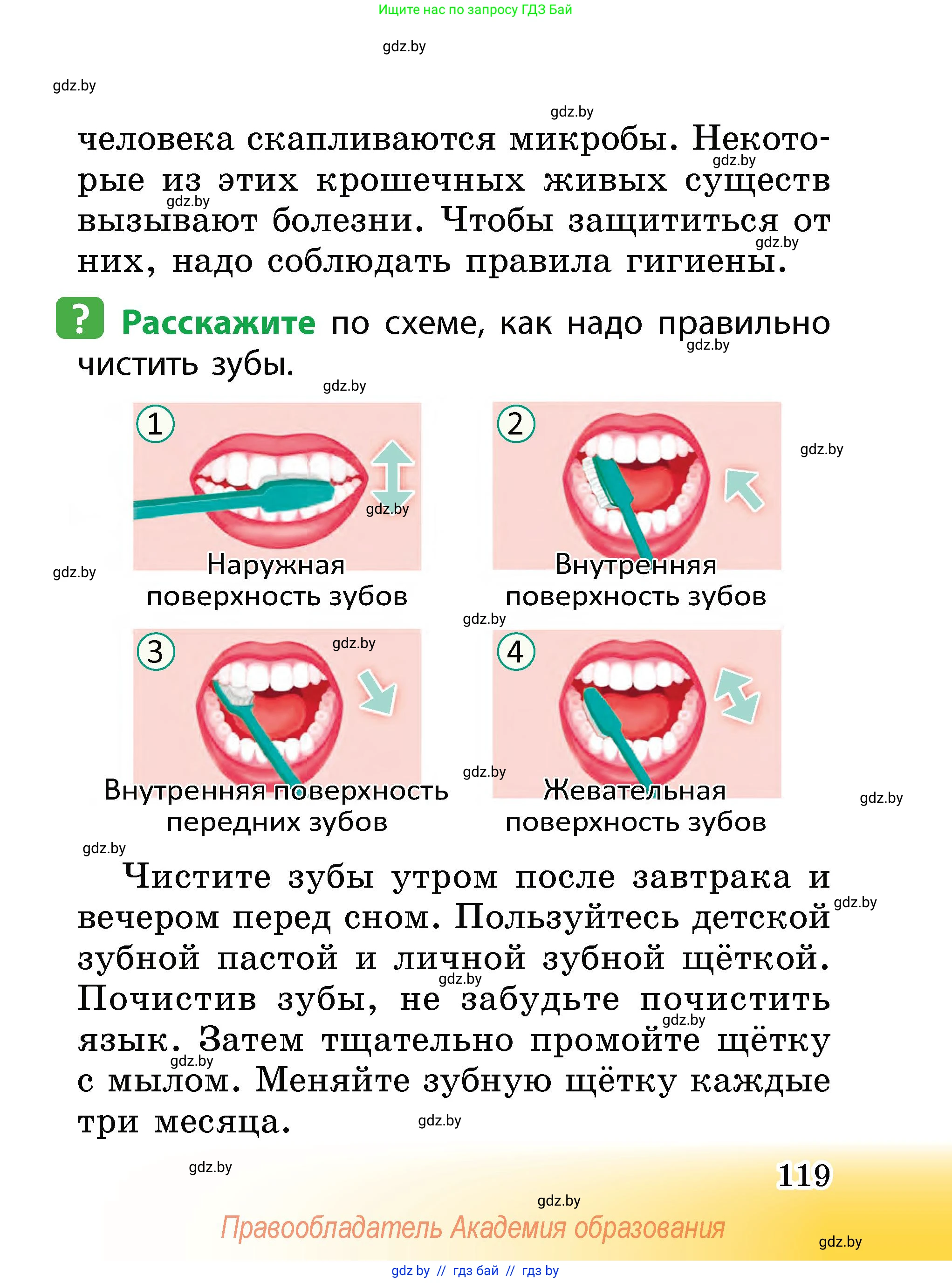 Человек и мир, 2 класс Учебник, авторы: Трафимова Галина Владимировна, Трафимов Сергей Анатольевич, издательство Академия образования, Минск, 2024, страница 119