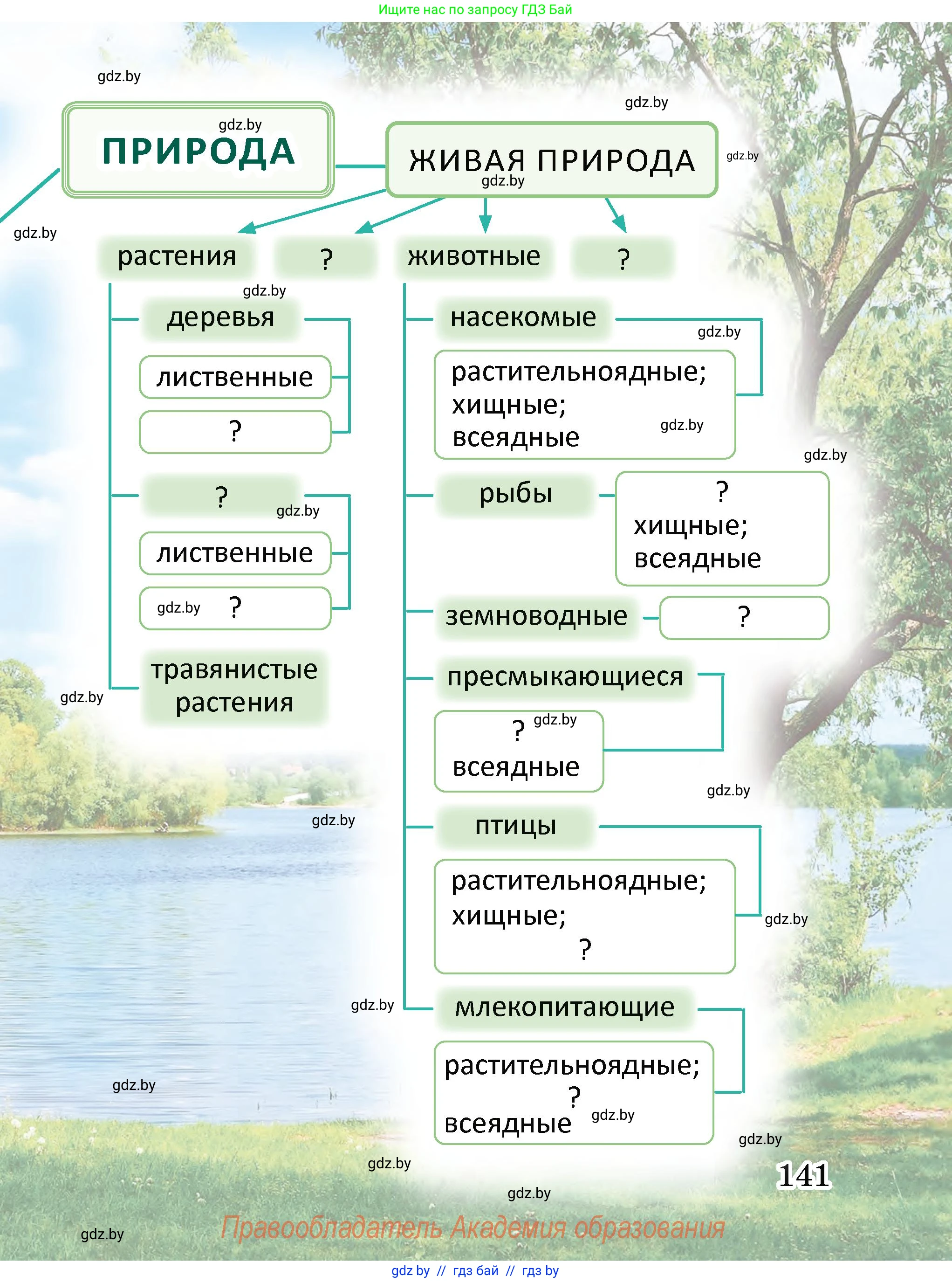 Человек и мир, 2 класс Учебник, авторы: Трафимова Галина Владимировна, Трафимов Сергей Анатольевич, издательство Академия образования, Минск, 2024, страница 141