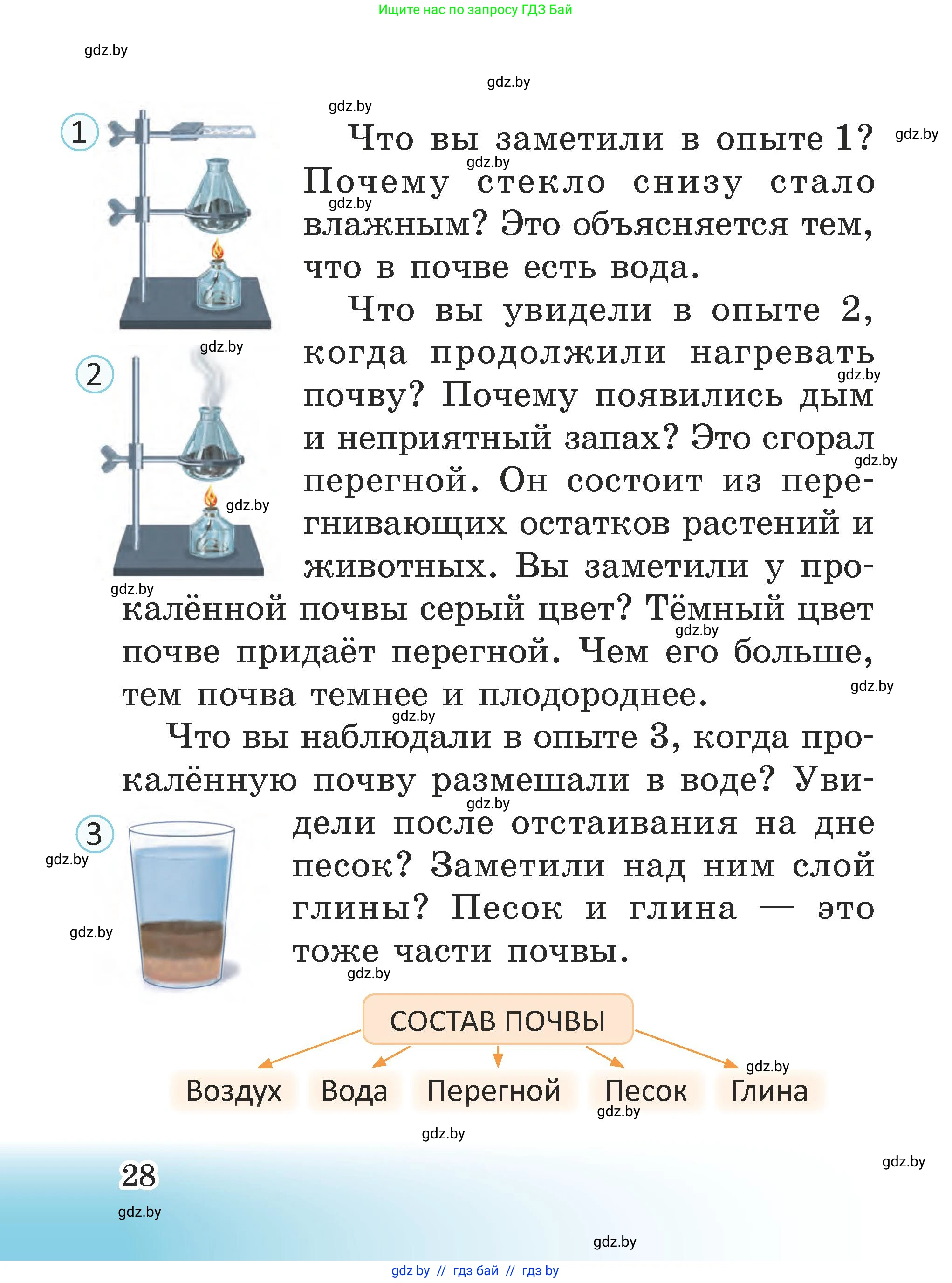 Человек и мир, 2 класс Учебник, авторы: Трафимова Галина Владимировна, Трафимов Сергей Анатольевич, издательство Академия образования, Минск, 2024, страница 28