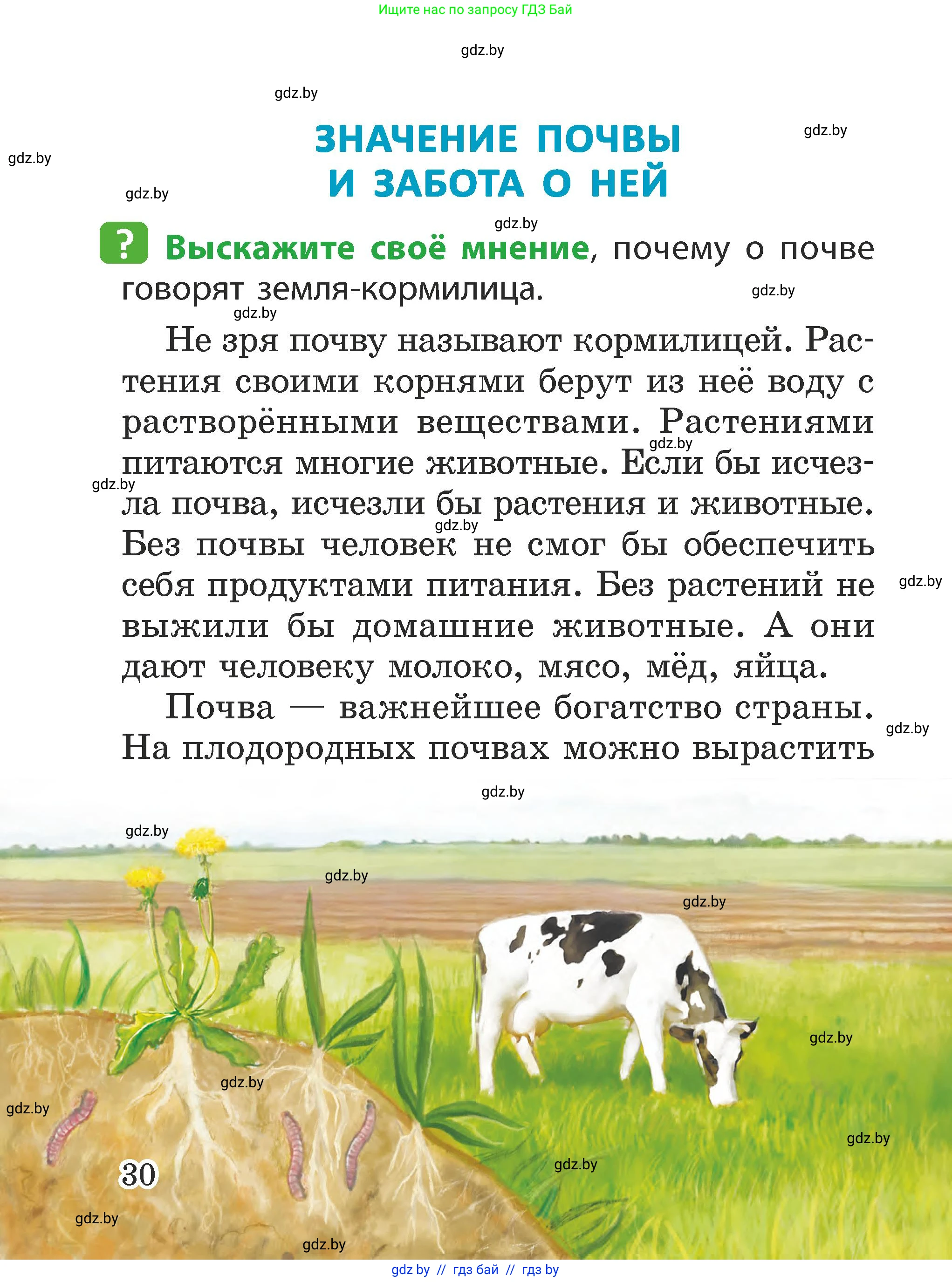 Человек и мир, 2 класс Учебник, авторы: Трафимова Галина Владимировна, Трафимов Сергей Анатольевич, издательство Академия образования, Минск, 2024, страница 30