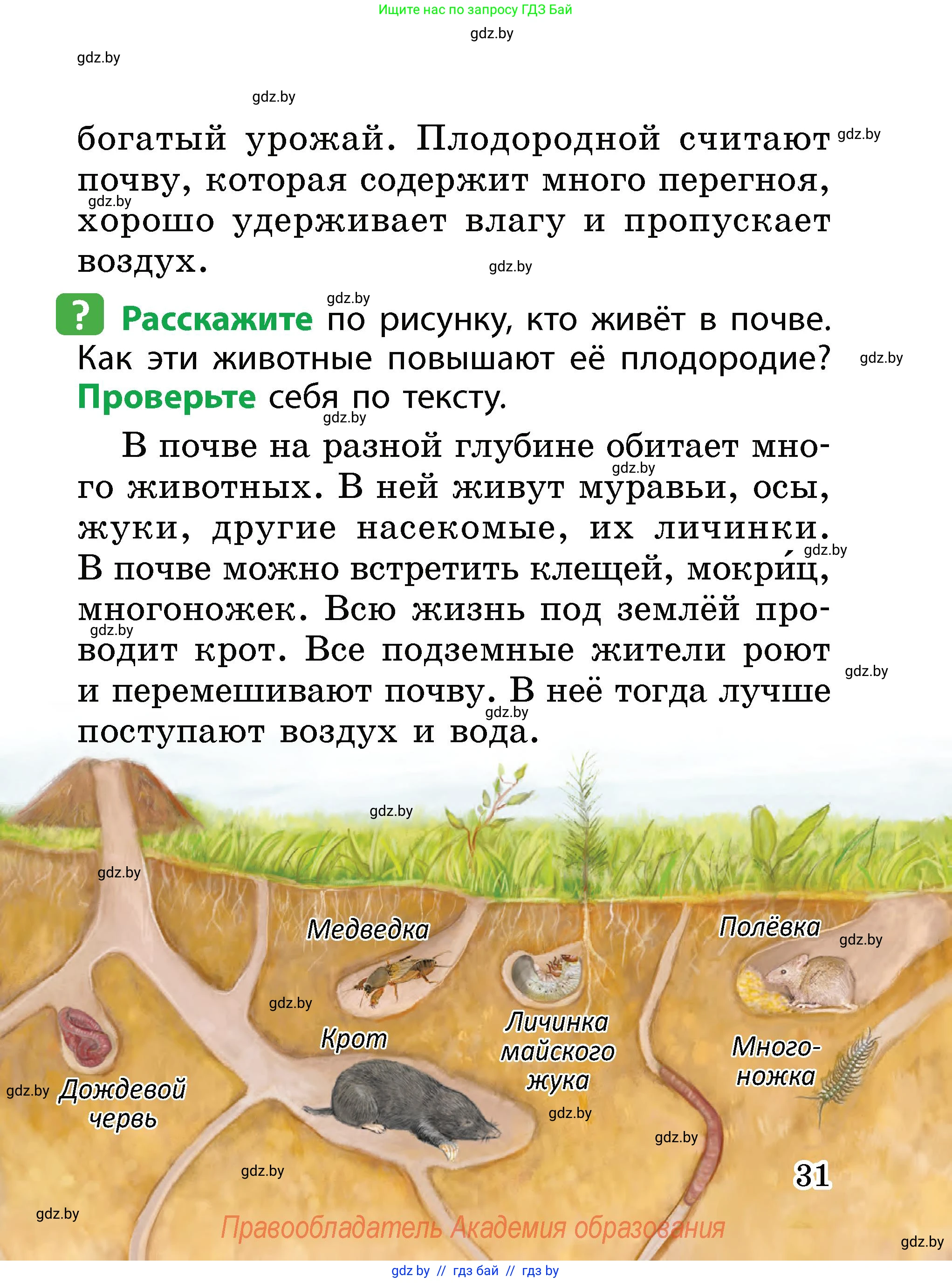 Человек и мир, 2 класс Учебник, авторы: Трафимова Галина Владимировна, Трафимов Сергей Анатольевич, издательство Академия образования, Минск, 2024, страница 31