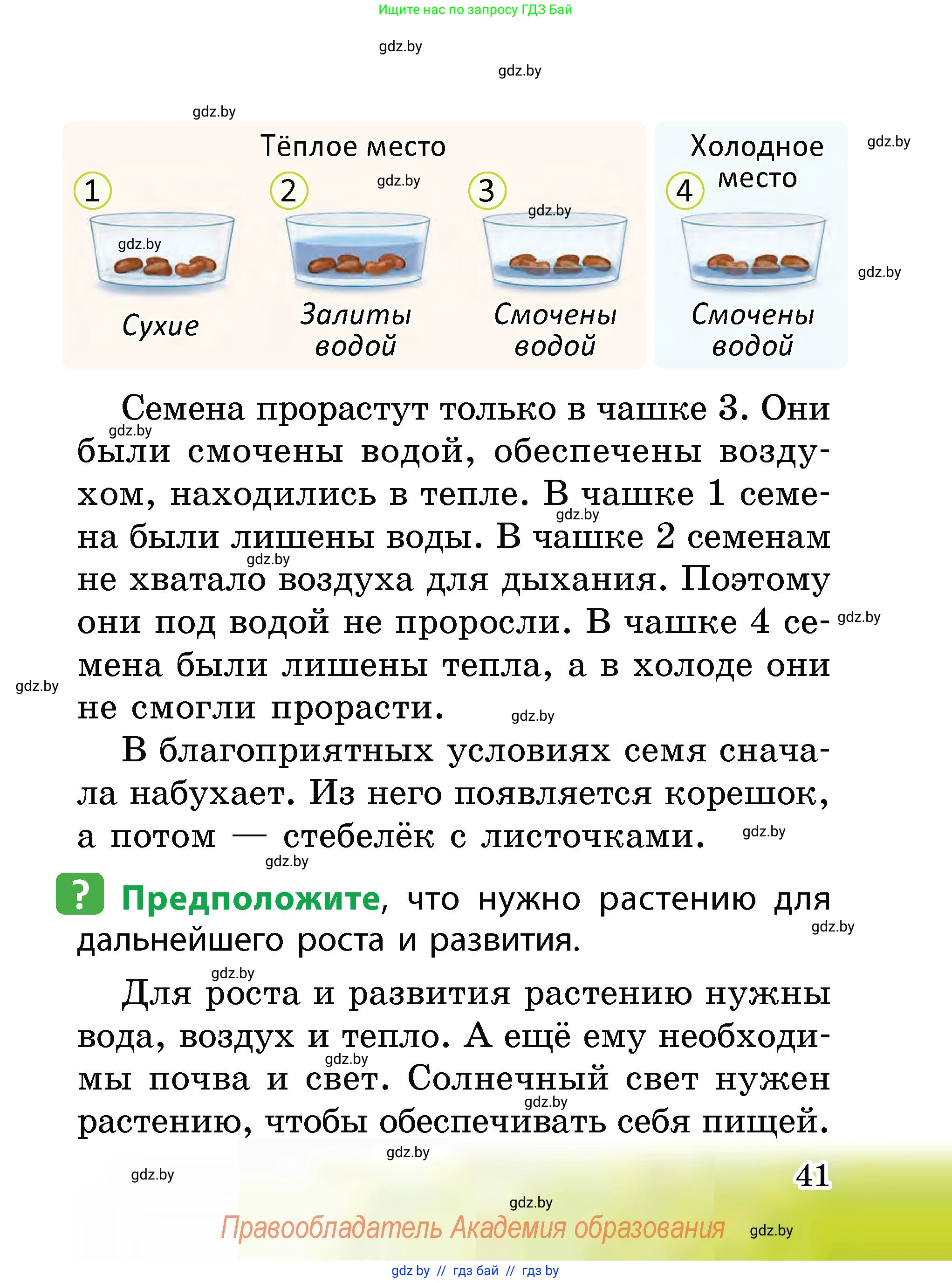 Человек и мир, 2 класс Учебник, авторы: Трафимова Галина Владимировна, Трафимов Сергей Анатольевич, издательство Академия образования, Минск, 2024, страница 41