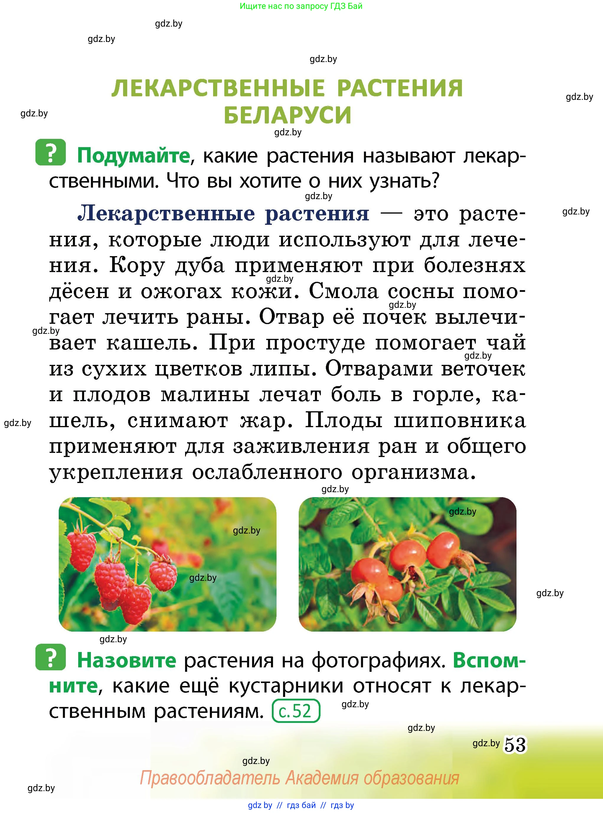 Человек и мир, 2 класс Учебник, авторы: Трафимова Галина Владимировна, Трафимов Сергей Анатольевич, издательство Академия образования, Минск, 2024, страница 53