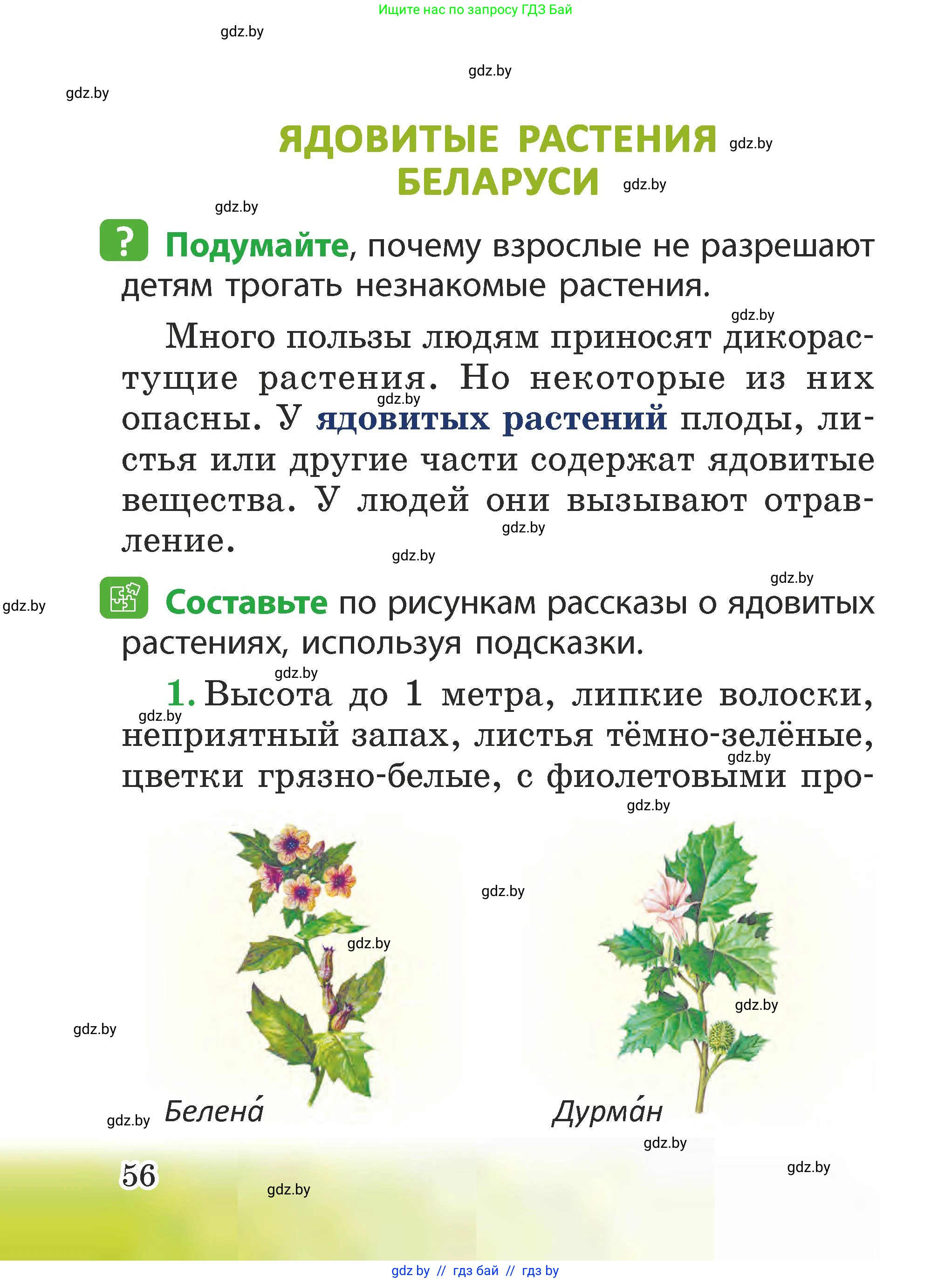 Человек и мир, 2 класс Учебник, авторы: Трафимова Галина Владимировна, Трафимов Сергей Анатольевич, издательство Академия образования, Минск, 2024, страница 56