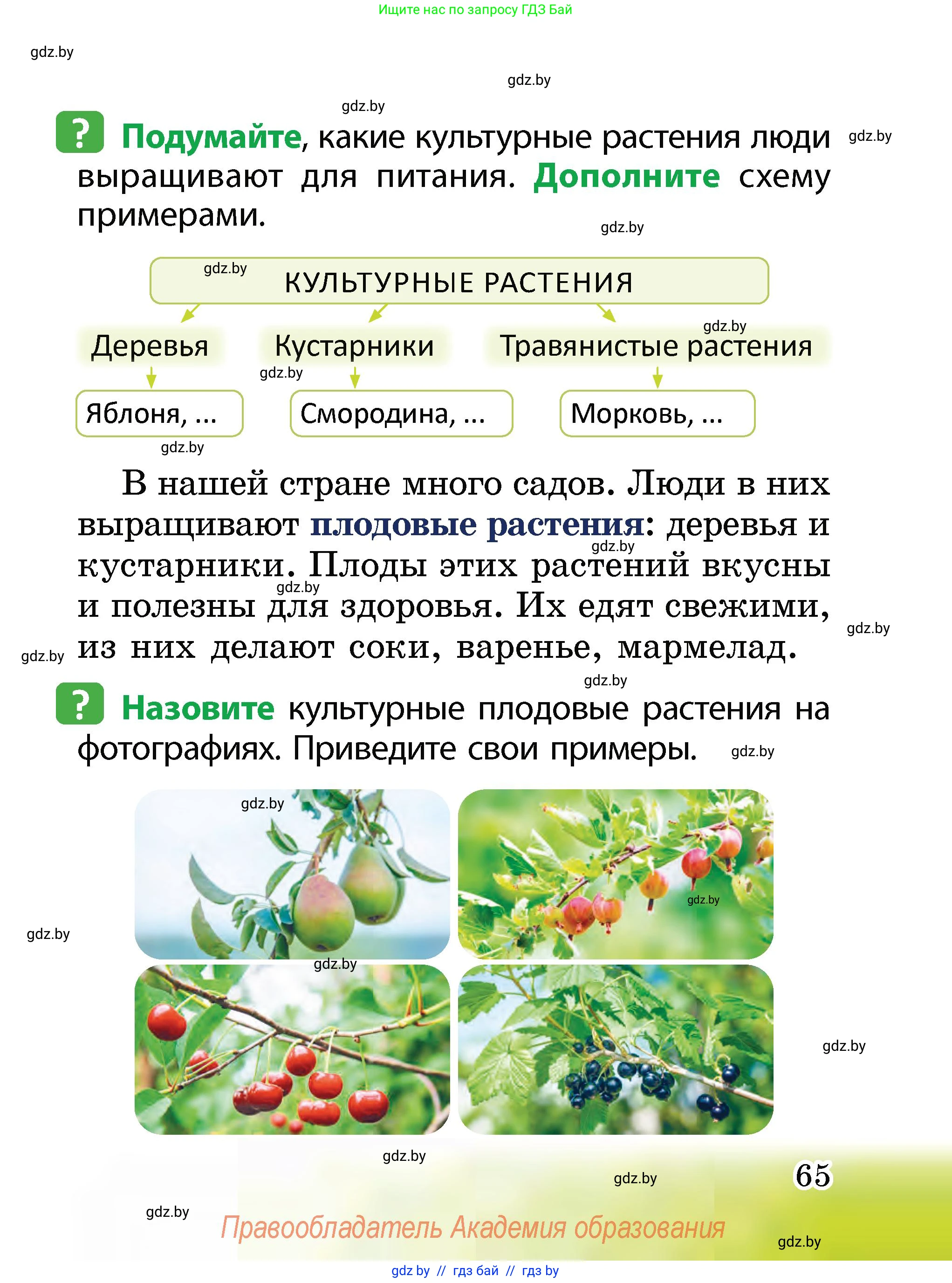 Человек и мир, 2 класс Учебник, авторы: Трафимова Галина Владимировна, Трафимов Сергей Анатольевич, издательство Академия образования, Минск, 2024, страница 65
