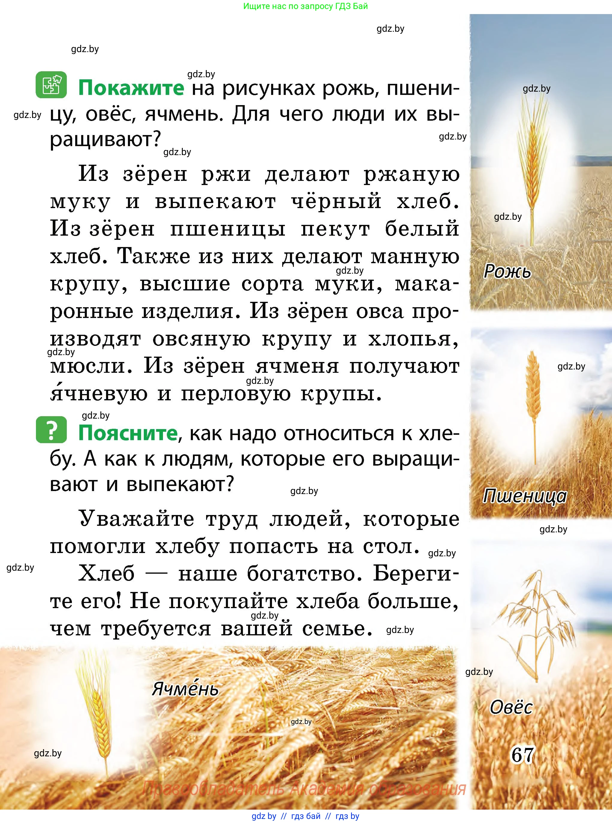 Человек и мир, 2 класс Учебник, авторы: Трафимова Галина Владимировна, Трафимов Сергей Анатольевич, издательство Академия образования, Минск, 2024, страница 67